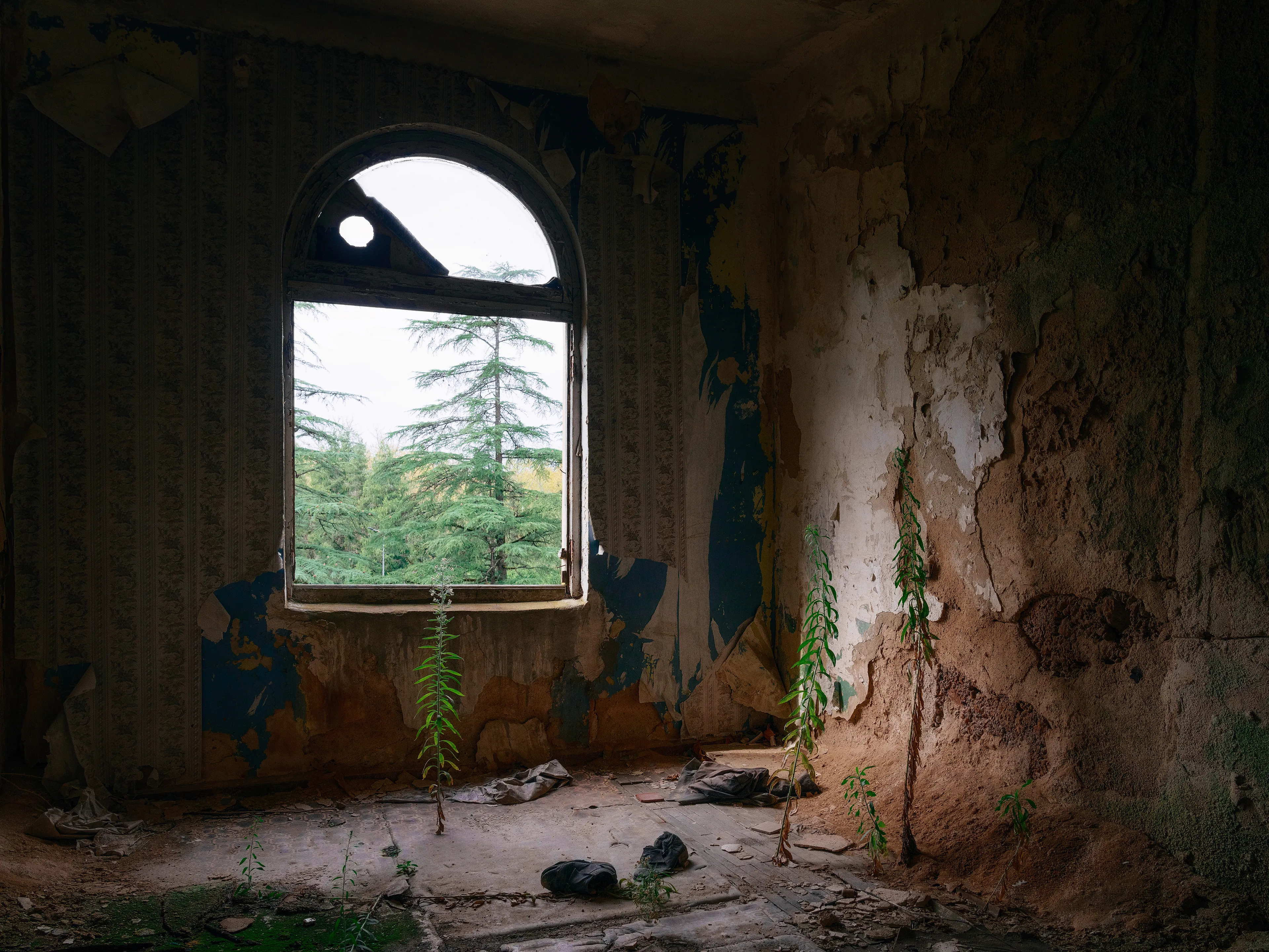 Only a few shoes....  
that's all that remained of the former resident here. In the room still hang the old wallpaper in typical 80s look of the soviet union. The walls are slowly crumbling to dust, and the first tender plants show who will live here in the future.