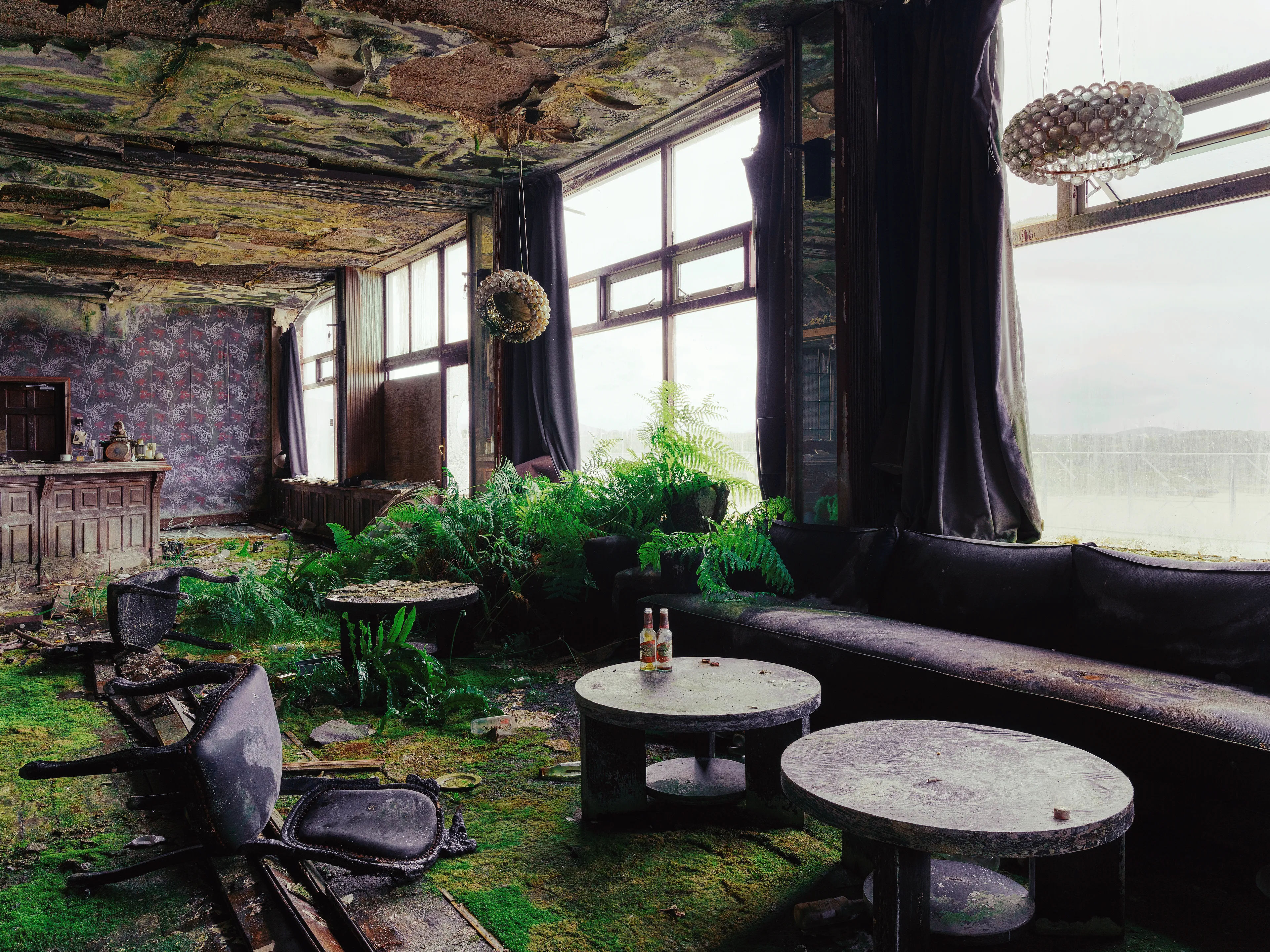 When I walked into this  abandoned hotel on the northwest coast of Ireland, I was speechless. Nature takes back everywhere.

We are here in the hotel internal pub. Where once Guiness and Bulmers flowed in streams. Everywhere you can still find the traces of the former guests. 
But between the once cozy armchairs, Mr. Fern has settled down and invites you to a local round of organic cocktails.