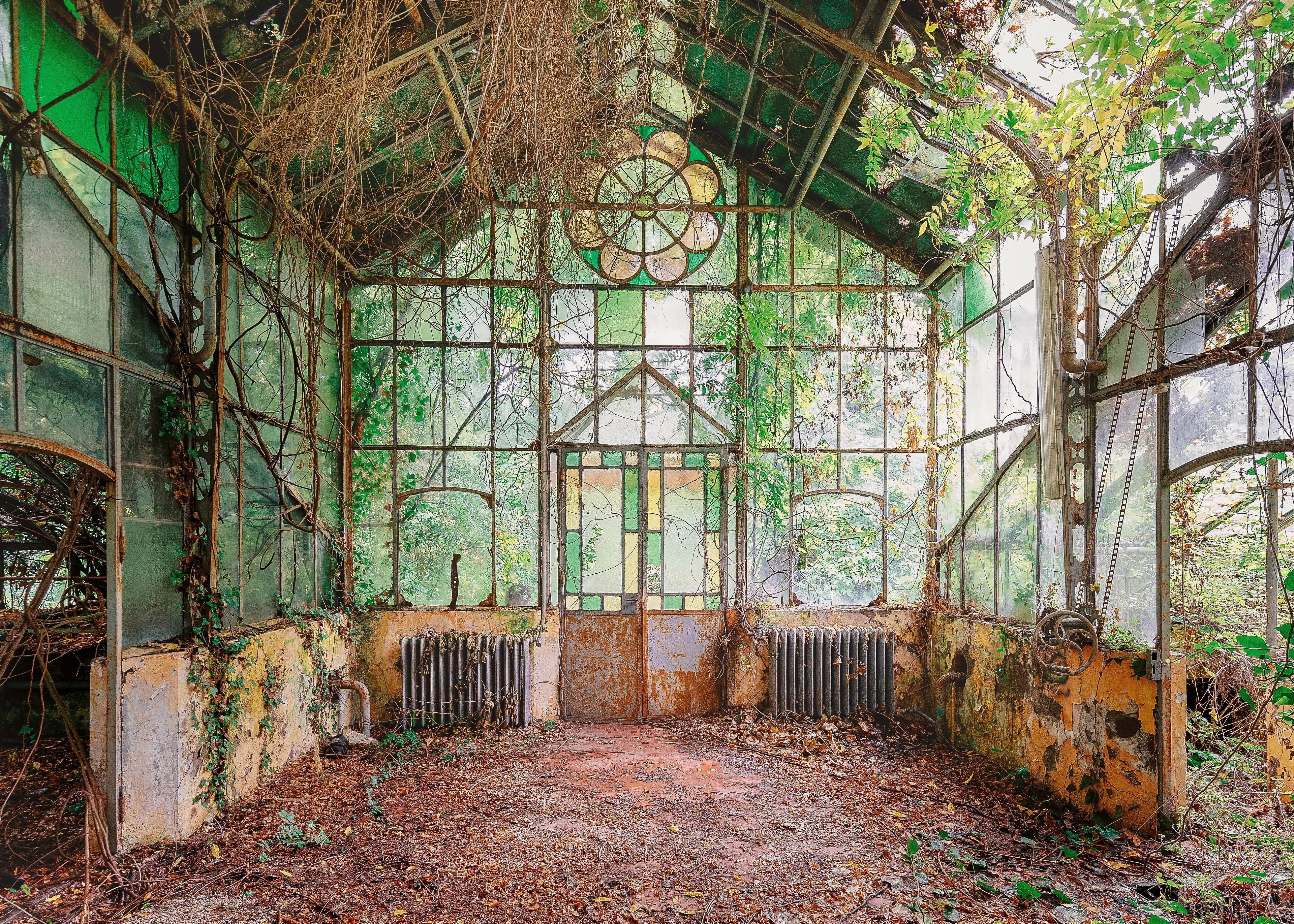 This greenhouse in a park of an abandoned old spa is a little masterpiece. What exactly was once grown here I can't say, but I suspect the flowers for this beautiful historic garden.

But even though the greenhouse has not been used for decades, nature continues to grow and green here, adding a special charm to the beautiful architecture