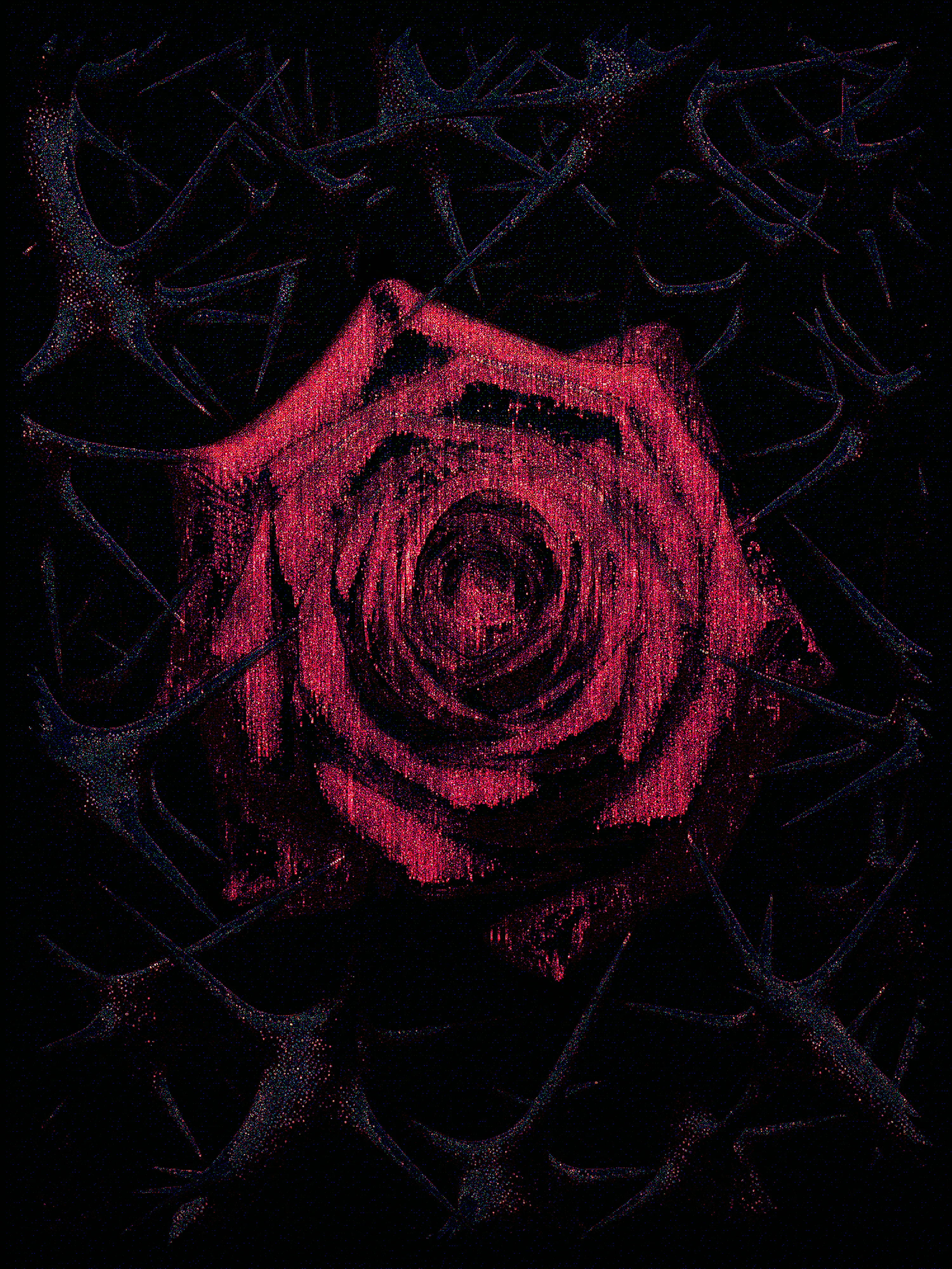 i am a rose of sharon, a rose of the valleys. as a rose among the thorns, so is my beloved among the daughters