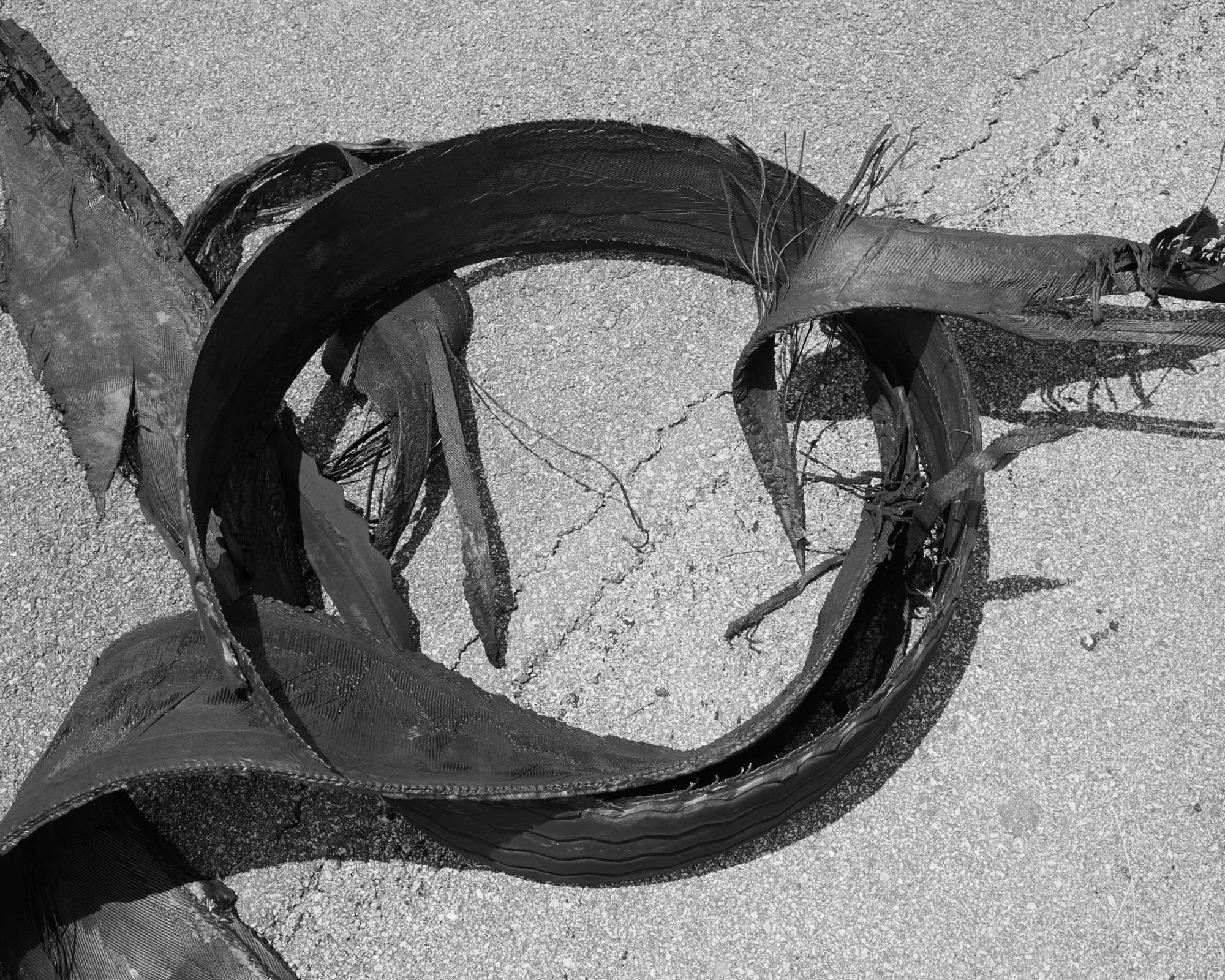 Shane Lavalette was commissioned by the High Museum in Atlanta to create a series of photographs for the exhibition *Picturing the South* which would become his monograph, *One Sun, One Shadow*. It was primarily through traditional music—the sounds of old time, blues, and gospel—that Lavalette had formed a relationship with the region. This history became a natural entry point to explore the connection between music and the landscape of the American South through images.

*One Sun One Shadow* was named one of the “Best Books” of the year by photo-eye and shortlisted for the Kassel Photobook Award and the Author Book Award at Les Rencontres d'Arles. Lavalette's work has been featured by various publications, including *The New York Times*, *TIME*, *NPR*, *CNN*, *The Telegraph*, *Aperture*, *Hotshoe*, and *Foam Magazine*. Lavalette’s photographs have been exhibited widely, in addition to being held in private and public collections around the world. 