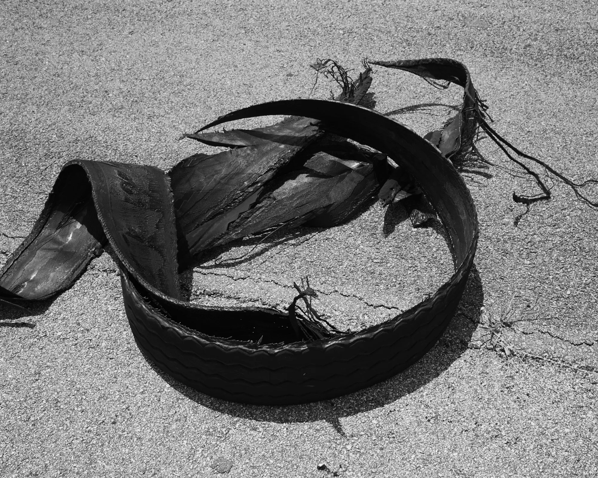 Shane Lavalette was commissioned by the High Museum in Atlanta to create a series of photographs for the exhibition *Picturing the South* which would become his monograph, *One Sun, One Shadow*. It was primarily through traditional music—the sounds of old time, blues, and gospel—that Lavalette had formed a relationship with the region. This history became a natural entry point to explore the connection between music and the landscape of the American South through images.

*One Sun One Shadow* was named one of the “Best Books” of the year by photo-eye and shortlisted for the Kassel Photobook Award and the Author Book Award at Les Rencontres d'Arles. Lavalette's work has been featured by various publications, including *The New York Times*, *TIME*, *NPR*, *CNN*, *The Telegraph*, *Aperture*, *Hotshoe*, and *Foam Magazine*. Lavalette’s photographs have been exhibited widely, in addition to being held in private and public collections around the world. 