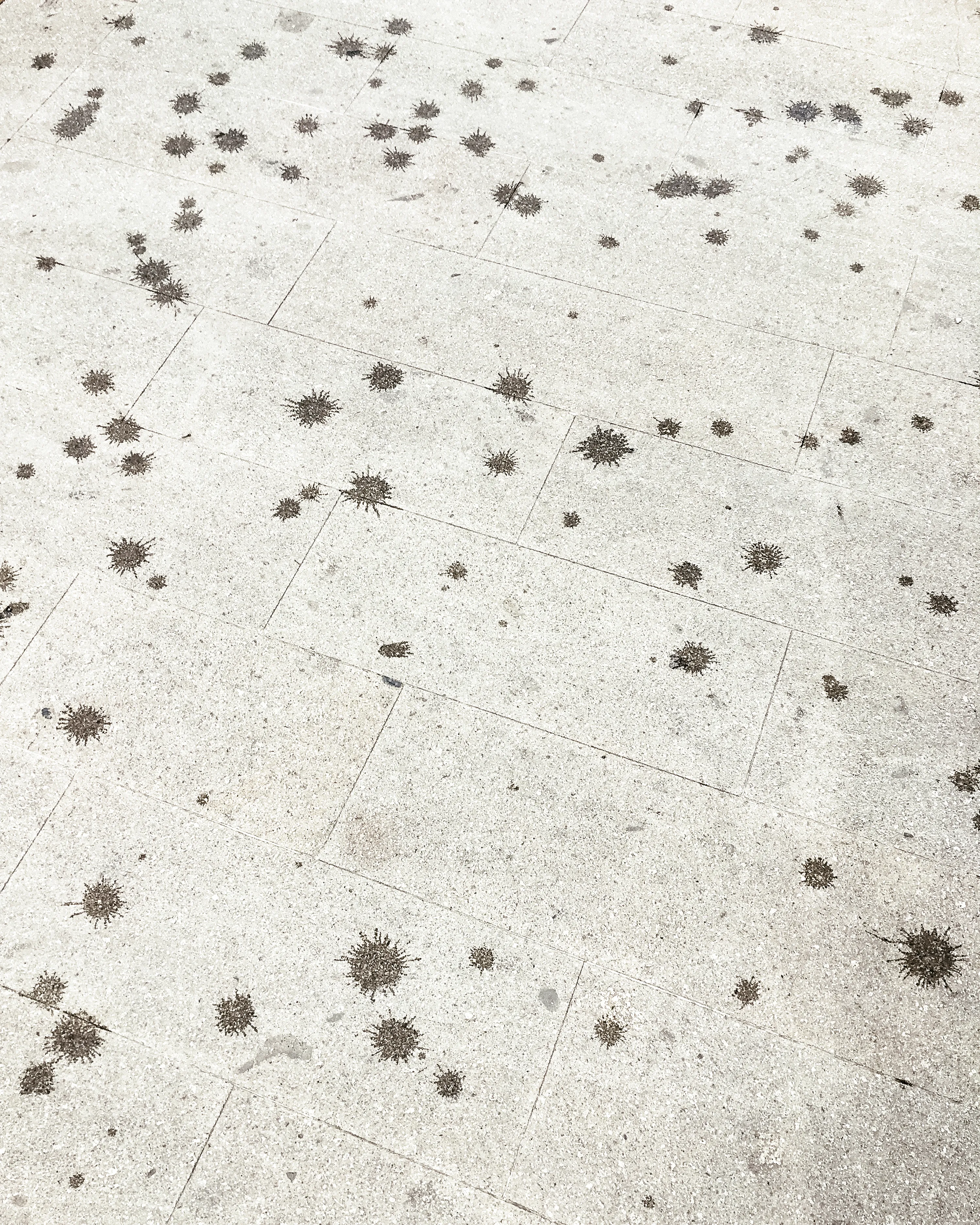A daimon is the splashing rain on a summer day. 