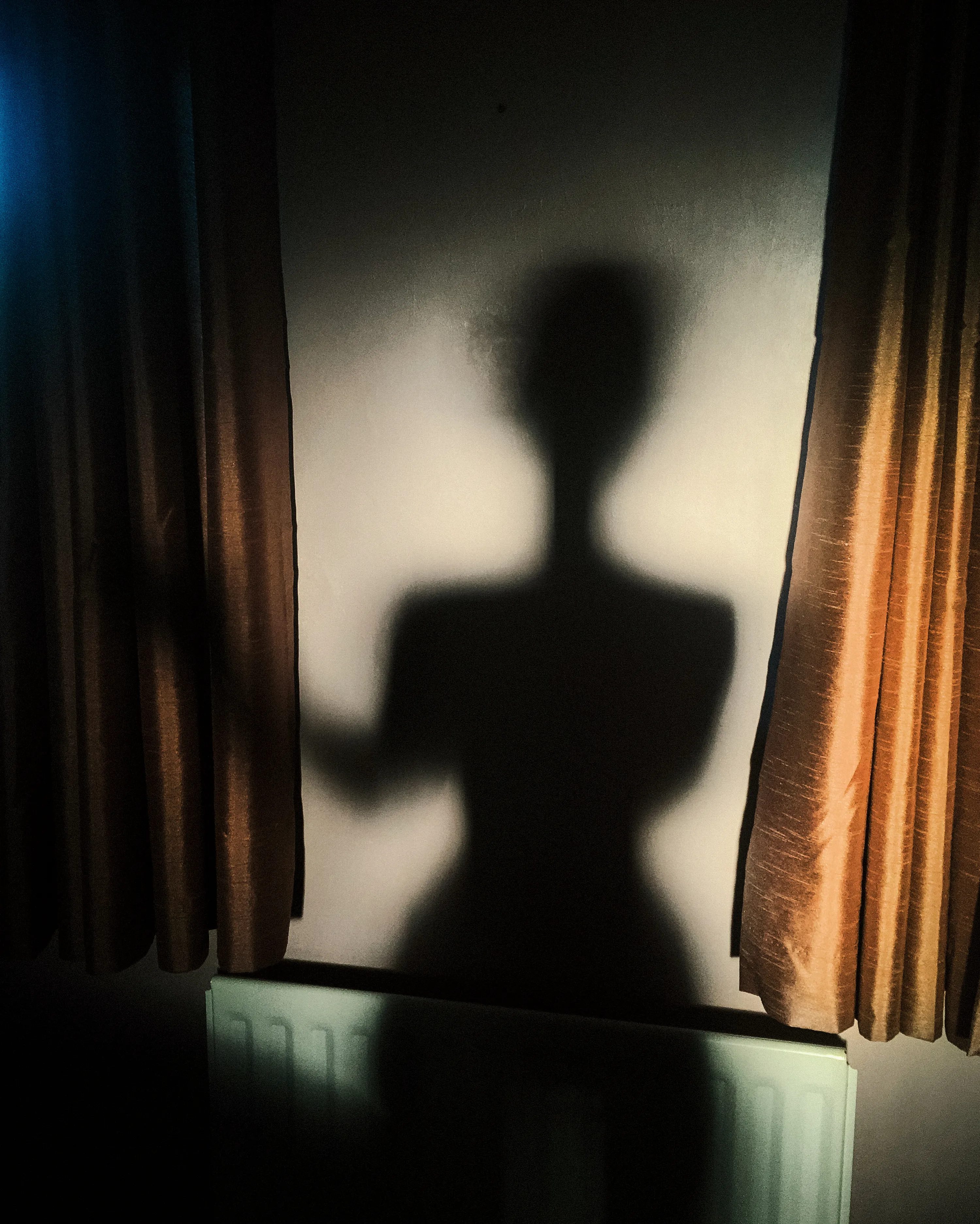 A daimon is your shadow waving hello.