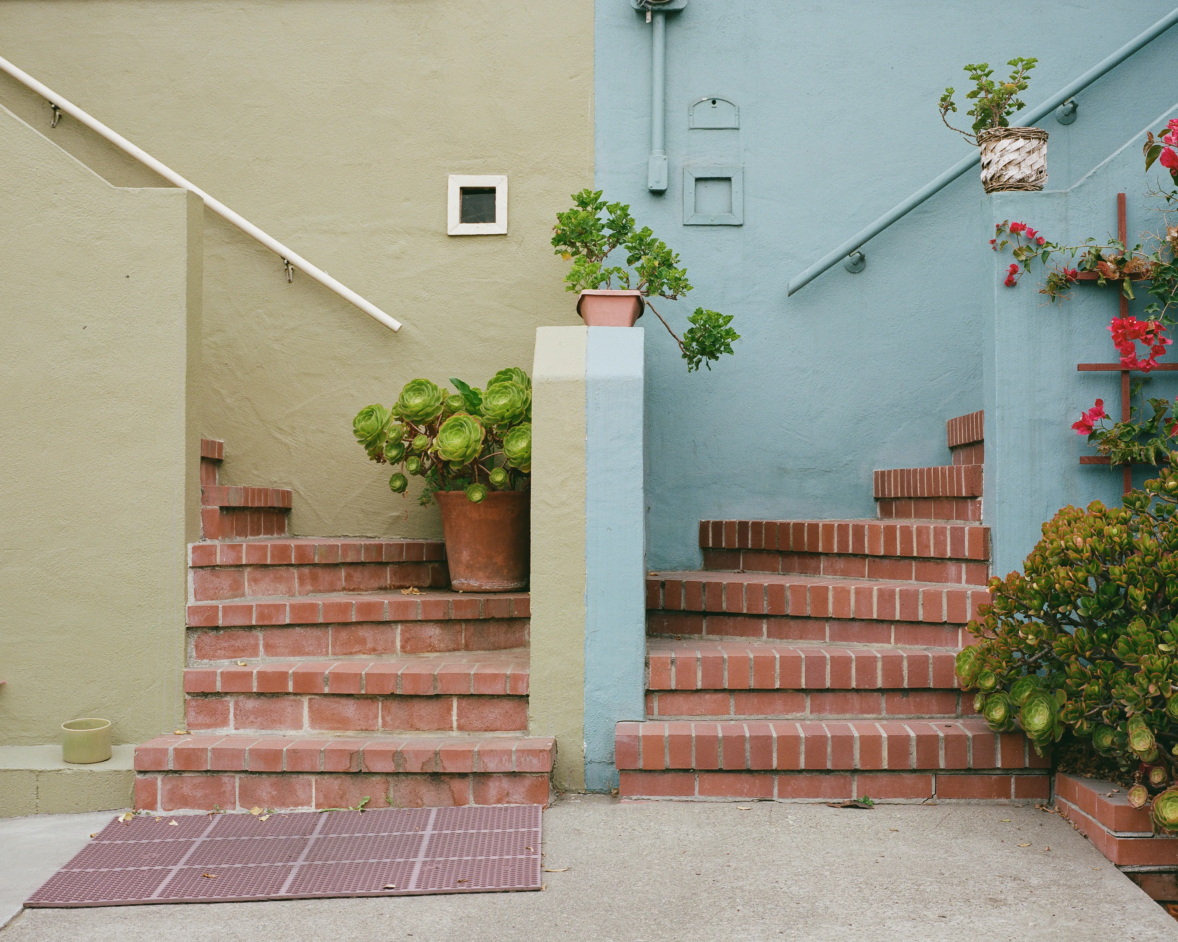 "Come Together" is a limited series, showcasing the Outer Sunset in San Francisco, CA. This iconic neighborhood is full of homes painted in a wide range of colors. Every home has its own distinct identity, created through: decoration, textures, colors, and other personal touches.

While exploring the neighborhood, I came across a handful of homes with unique, back to back front steps. Both homes mirroring one another, offering their own personal touches, coming together to create a cohesive scene; simple, yet full of wonder.