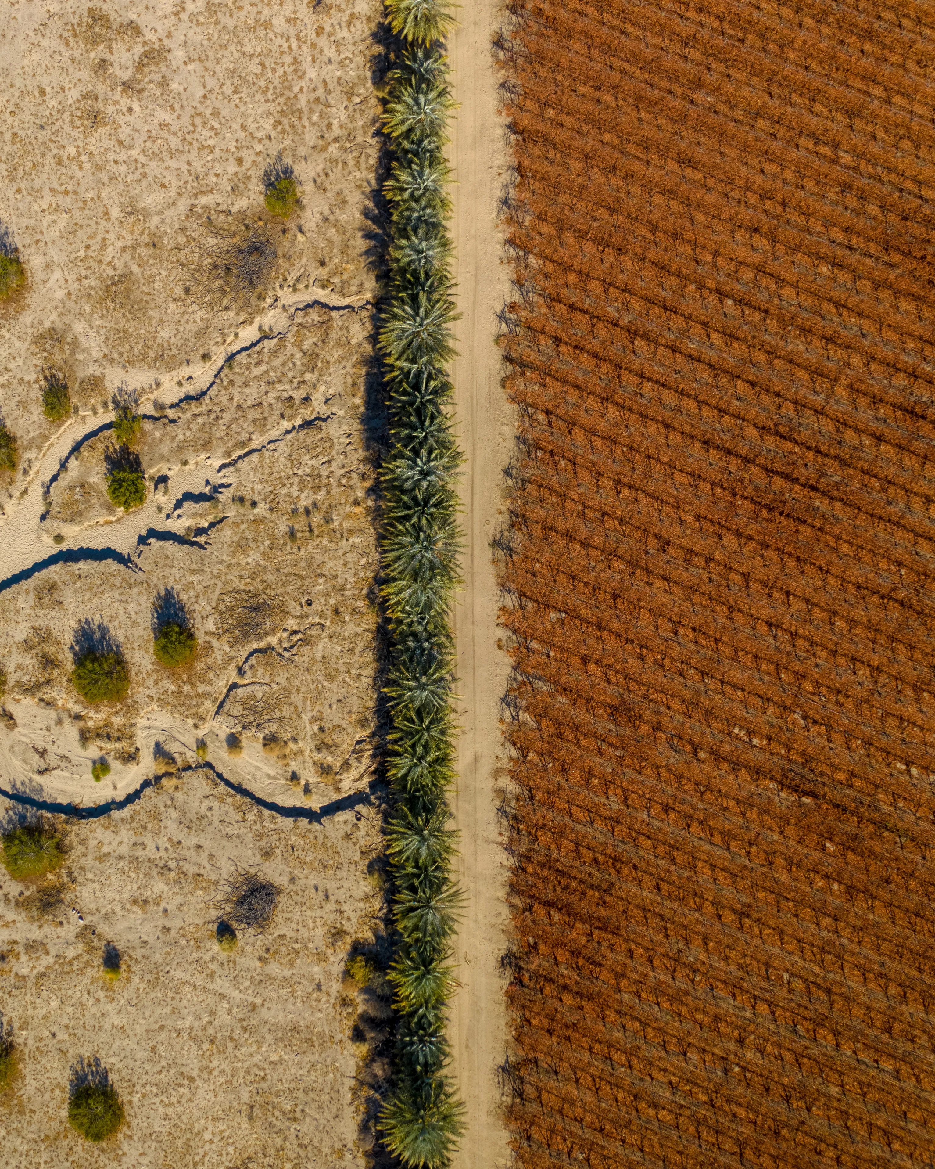 Desert Divide exams the textures and pattens that exist on their own as a part of a greater system to ensure effective growth.

The beauty of our planet is often seen at eye level....what we can see, we can appreciate! The earth seen from above adds an extra dimension to its beauty!
Frank White coined the term “Overview Effect” to describe the cognitive shift in awareness that results from the experience of viewing Earth from orbit or the moon. While I may not be viewing our planet from space - I aim to visit the concept of the 'overview effect' in my work.