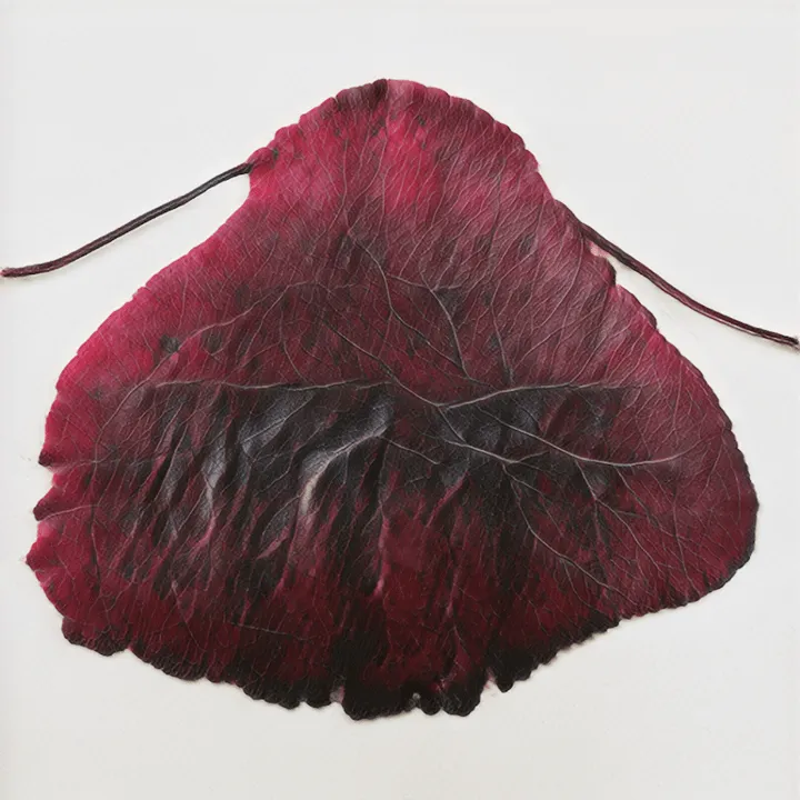 &ldquo;Leaves of Manifold, of Red and Gold&rdquo; by Helena Sarin is a piece that focuses on autumn tree leaves, the rich combinations of their color hues, and their seasonal omnipresence. Leaves appear and disappear one by one, presenting a fashion parade to the viewer, the detailed veins and complex color transitions providing a feast for the visual senses. At times the shapes seem to belong to unfamiliar trees, or the leaf stalk may be separated. As is typical in Helena Sarin&rsquo;s practice, these images have been generated by a GAN trained on the artist&rsquo;s own photographs and sketches. Then, Sarin reviews the generated images and manually curates the final selection, acting by the principle &ldquo;It&rsquo;s not the frames you play, it&rsquo;s the frames you don&rsquo;t play,&rdquo; to paraphrase Miles Davis.