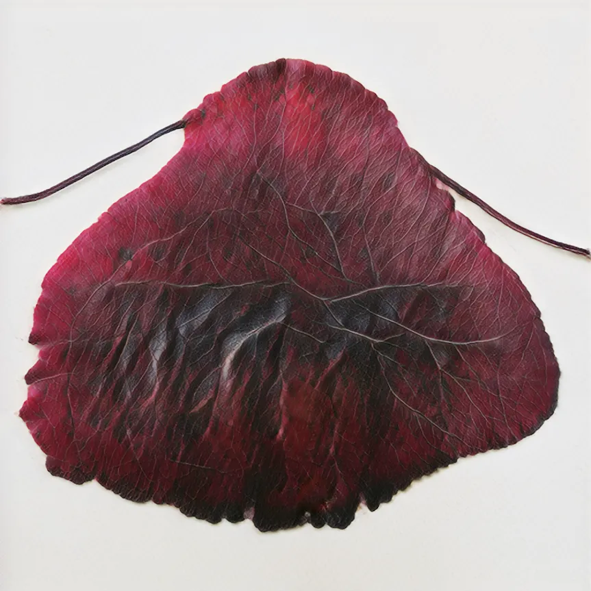 &ldquo;Leaves of Manifold, of Red and Gold&rdquo; by Helena Sarin is a piece that focuses on autumn tree leaves, the rich combinations of their color hues, and their seasonal omnipresence. Leaves appear and disappear one by one, presenting a fashion parade to the viewer, the detailed veins and complex color transitions providing a feast for the visual senses. At times the shapes seem to belong to unfamiliar trees, or the leaf stalk may be separated. As is typical in Helena Sarin&rsquo;s practice, these images have been generated by a GAN trained on the artist&rsquo;s own photographs and sketches. Then, Sarin reviews the generated images and manually curates the final selection, acting by the principle &ldquo;It&rsquo;s not the frames you play, it&rsquo;s the frames you don&rsquo;t play,&rdquo; to paraphrase Miles Davis.
