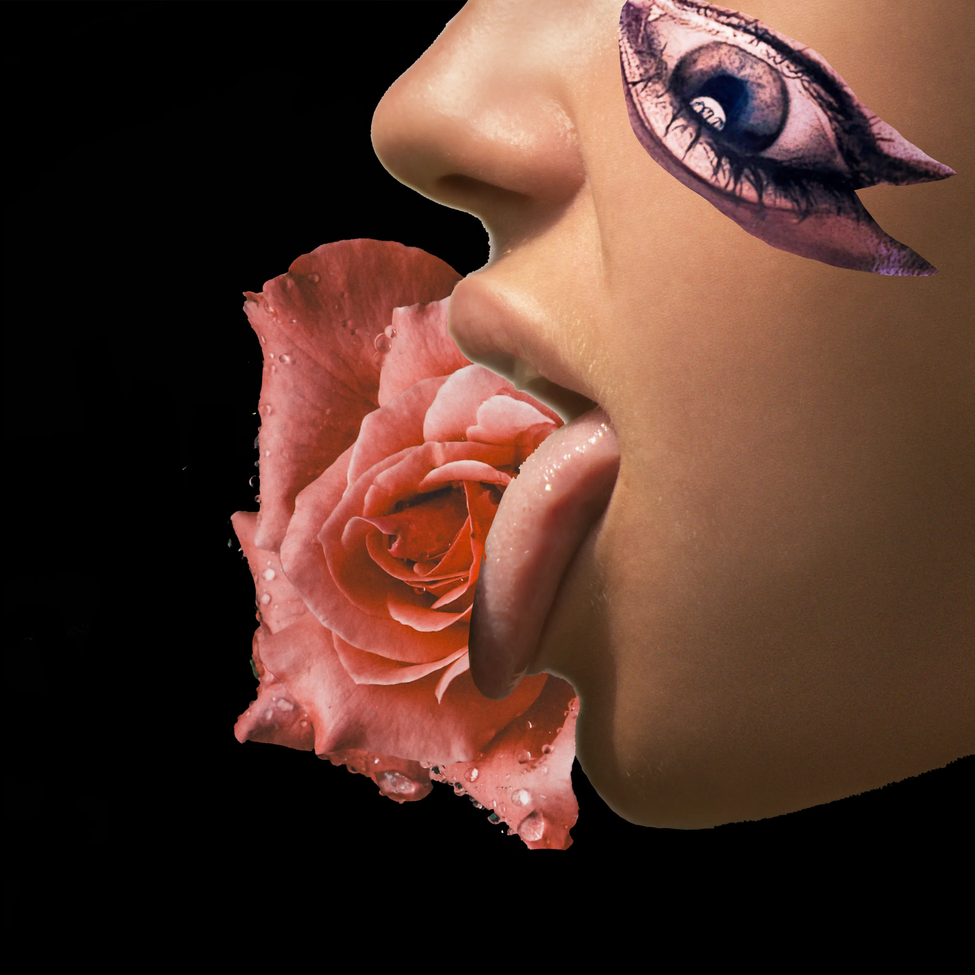 Suggestive Digital Collage.