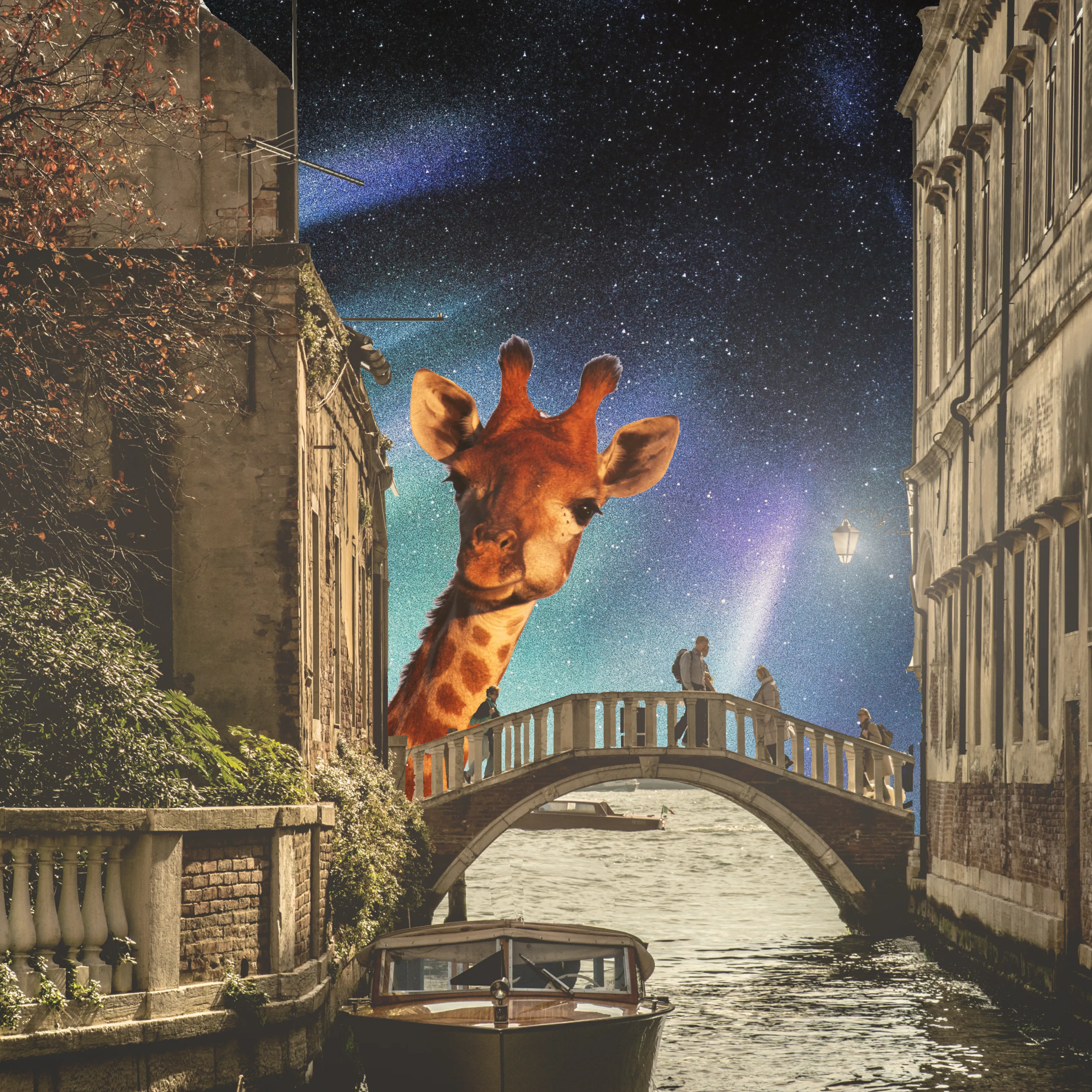 Digital Collage - All of my collages and photo manipulations are composed from royalty free, public domain images, or photographs I have taken myself.