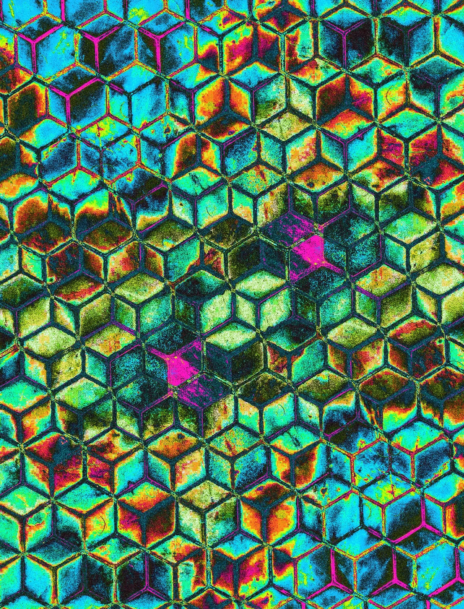 Manipulated images highlighting the true nature of shared spaces.