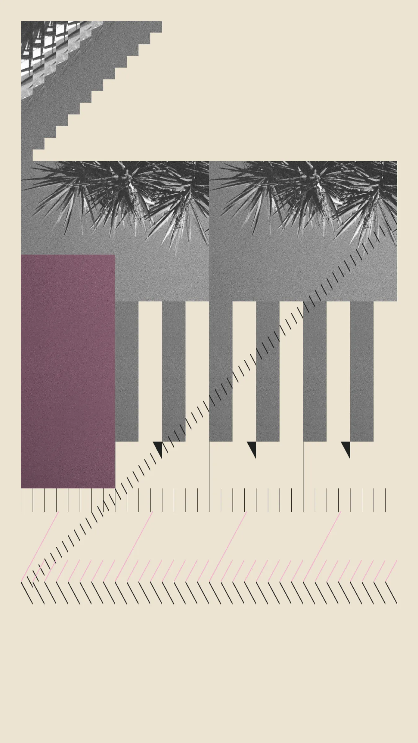 *Elefante* builds on my previous long-form work and pushes it to incorporate multiple remixed canvases using a single photograph of a giant Yucca (Latin name - Yucca elephantipes) as a starting point.

The project blends elements of Brutalism, Concrete art, and collage to create abstract displays of coloured forms and photography, some reminiscent of architecture, some paper cut-outs.

I aimed for the pieces to ‘scan’ well from a distance or at smaller sizes, but also to have a more 'material' quality than some of my prior work. I wanted texture without skeuomorphism.