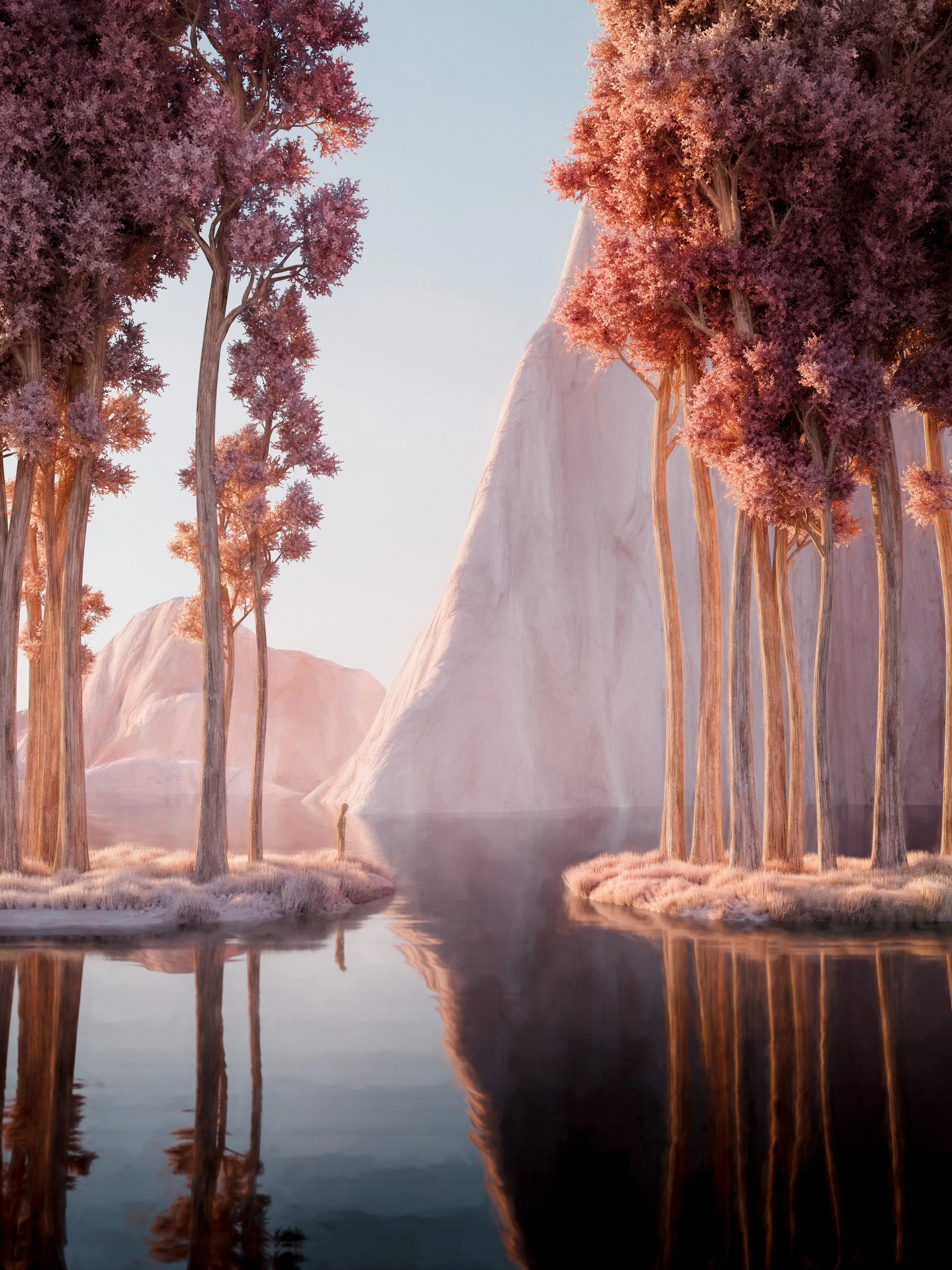 reflections I; a new chapter.