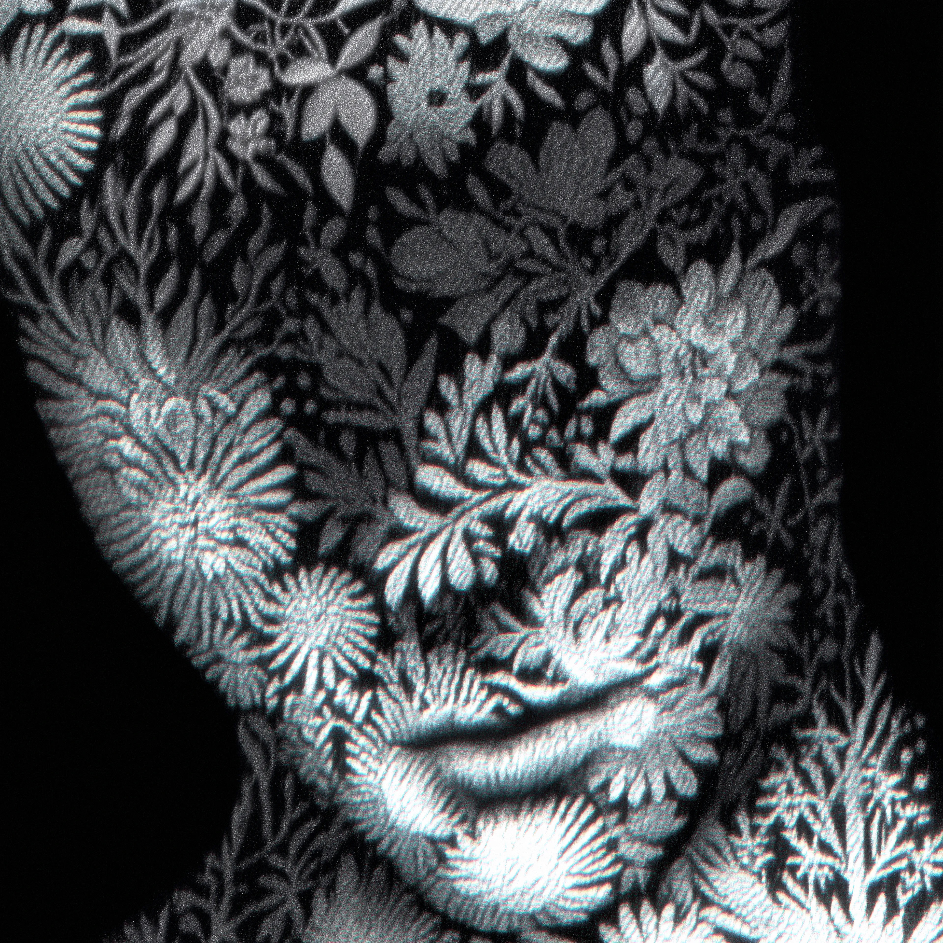 "The Memory Of Skin",  
Hypnos,  
2025,  
Tù.úk'z,  
Digital + Artificial Intelligence. 