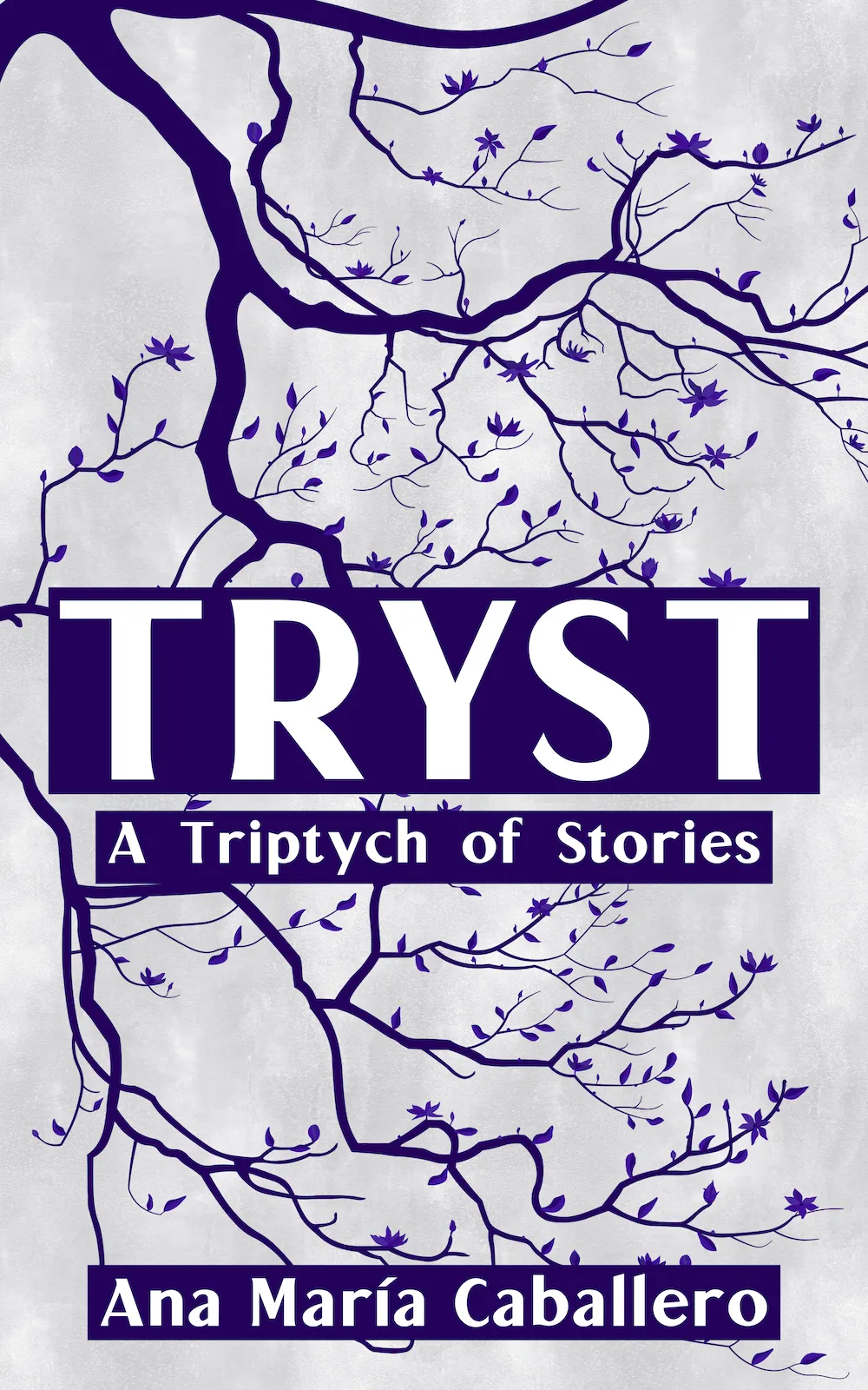 TRYST explores the moments and the non-moments, the loves, the losses, and the in-betweens that make up the lives of the people we walk past every day. A set of three lyrical and arresting short stories, TRYST offers a glimpse into the poetic and expansive inner lives of three women, each rooted in a different Brooklyn neighborhood.

This second edition is offered as a collection of 150. Book covers by artist Alexandria Sofija. Cover design by Julia Lasker. 



To read this book and access related features, visit https://alexandrialabs.xyz and connect your wallet.