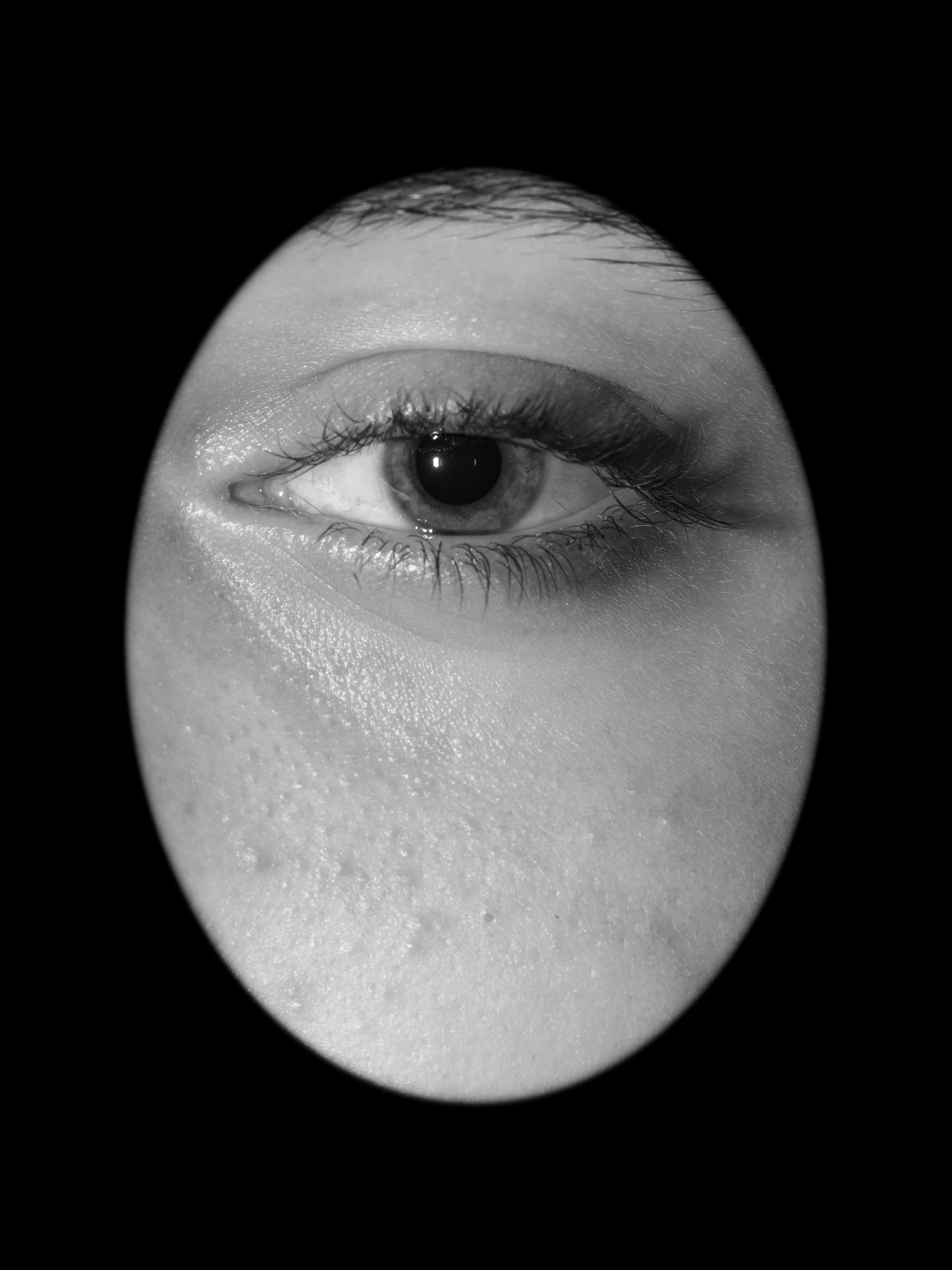 A collection of eyes I look into everyday