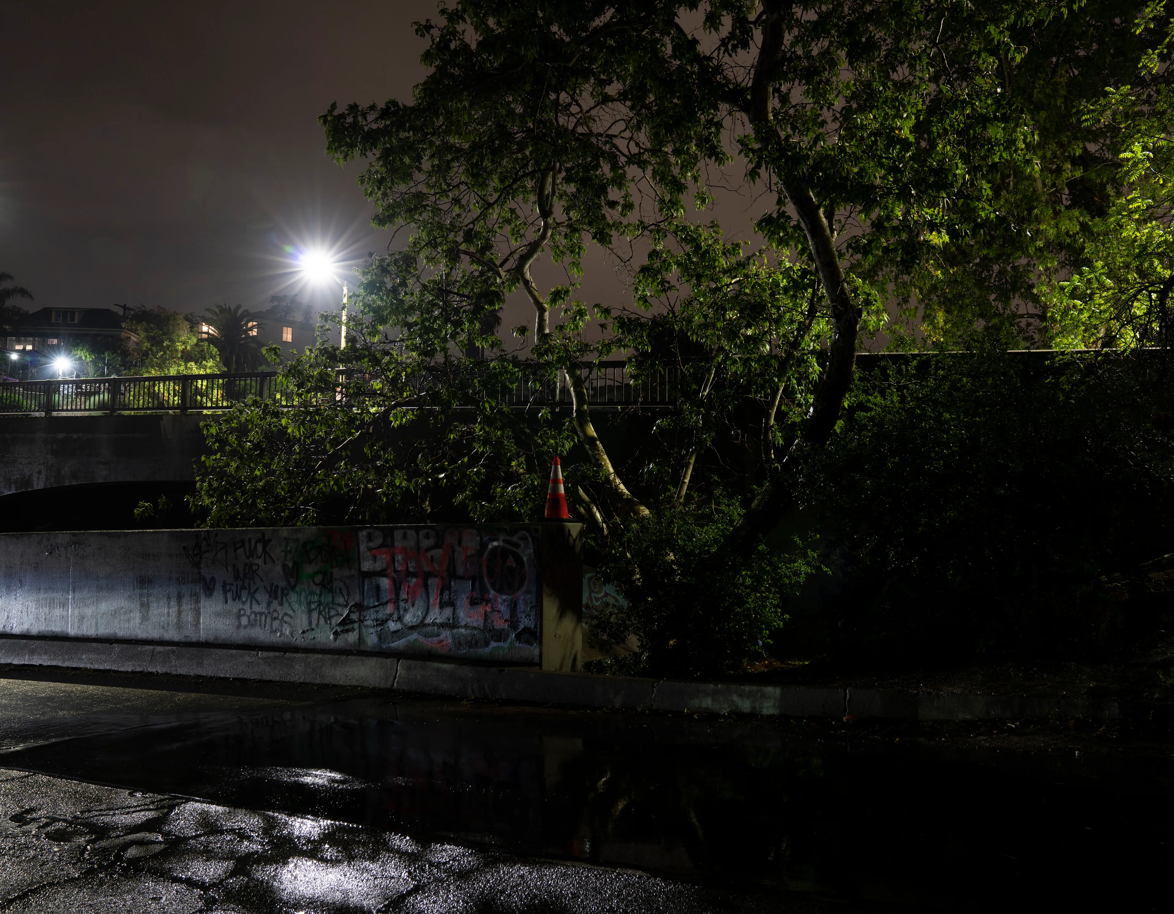 Echoing The World Today's homage to the Mid-20th Century, this collection draws inspiration from "The Pedestrian," a story by Ray Bradbury about a man who wanders city streets alone at night.

Photographing in a different Los Angeles neighborhood each night, people were often skeptical of my presence, drawing a parallel to experiences Bradbury had during his own nocturnal walks in Beverly Hills, which inspired him to write his story seventy-plus years ago.

One night, I decided to bring along Galaxy, my fawn-colored pug, and my presence became more innocuous. He unknowingly became instrumental in finding that unique quietness found only in L.A.'s lonely, dark corners.