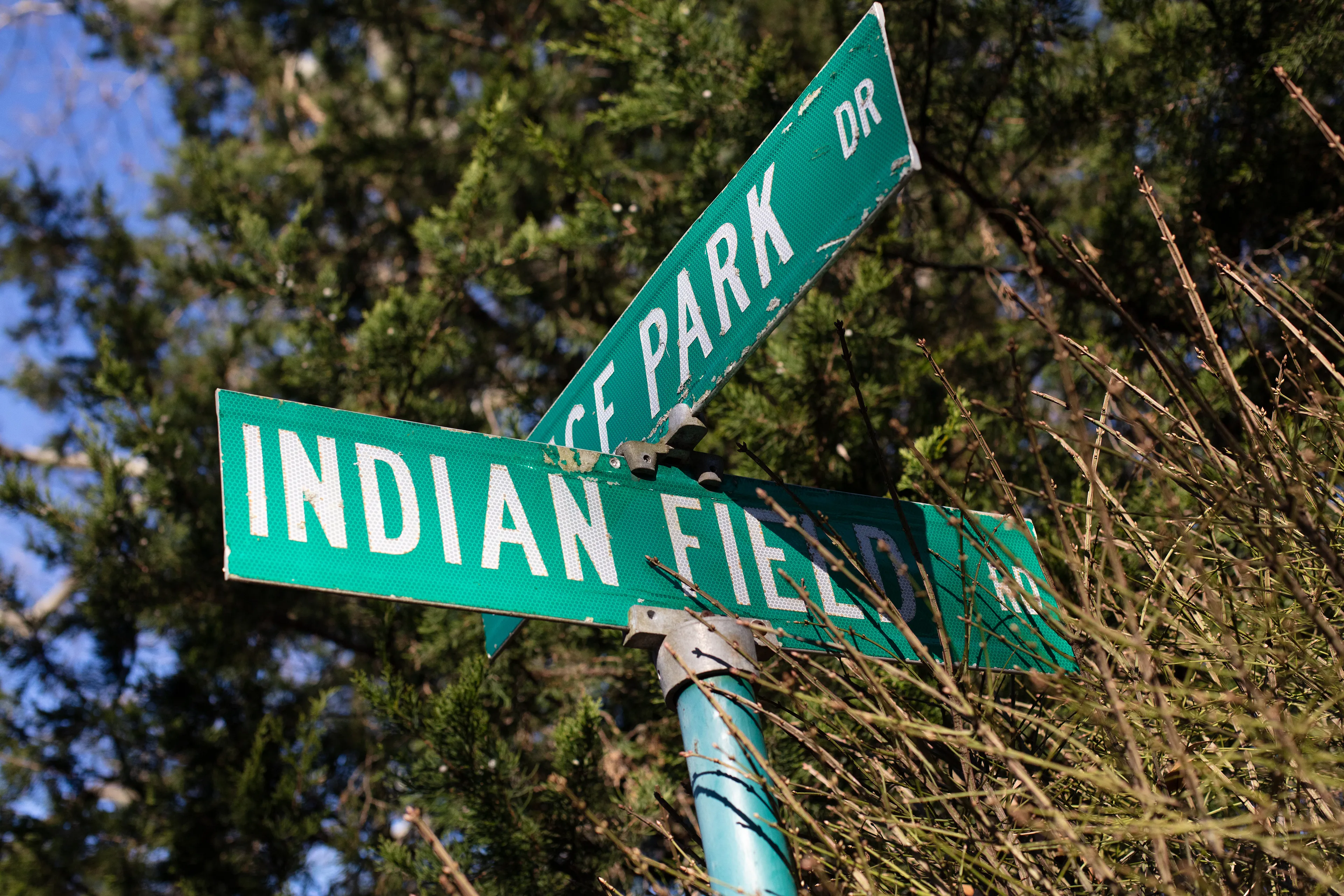 Greenwich, Connecticut, a suburb of New York City, is one of the wealthiest towns in the world. What remains of the original indigenous inhabitants of the land, while not invisible, can be hard to see. The land was commodified by settlers nearly four centuries ago. The native Siwanoy people were mistreated and removed from their land, but a friendly narrative of sharing of the land is used to justify the virtually infinite wealth of today’s inhabitants. Massive estates now sit on streets with indigenous names. Property owners bolt convex mirrors to trees to make sure they can see everything behind them clearly, to keep their expensive cars safe as they leave their wide driveways. But rearview vision can be distorted. These mirrors make everything look like a funhouse, and make it difficult to escape seeing one’s own reflection. 

In my first NFT project, I am reflecting on the perils of commodification in the context of what seems like the latest technology to encourage it. When property ownership moves from the ephemeral to the physical or from the physical to the ephemeral, what is lost? Is anything gained? For whom? What stories do we tell to justify our decisions, and what distorted mirrors do we employ to look back and feel safe?
