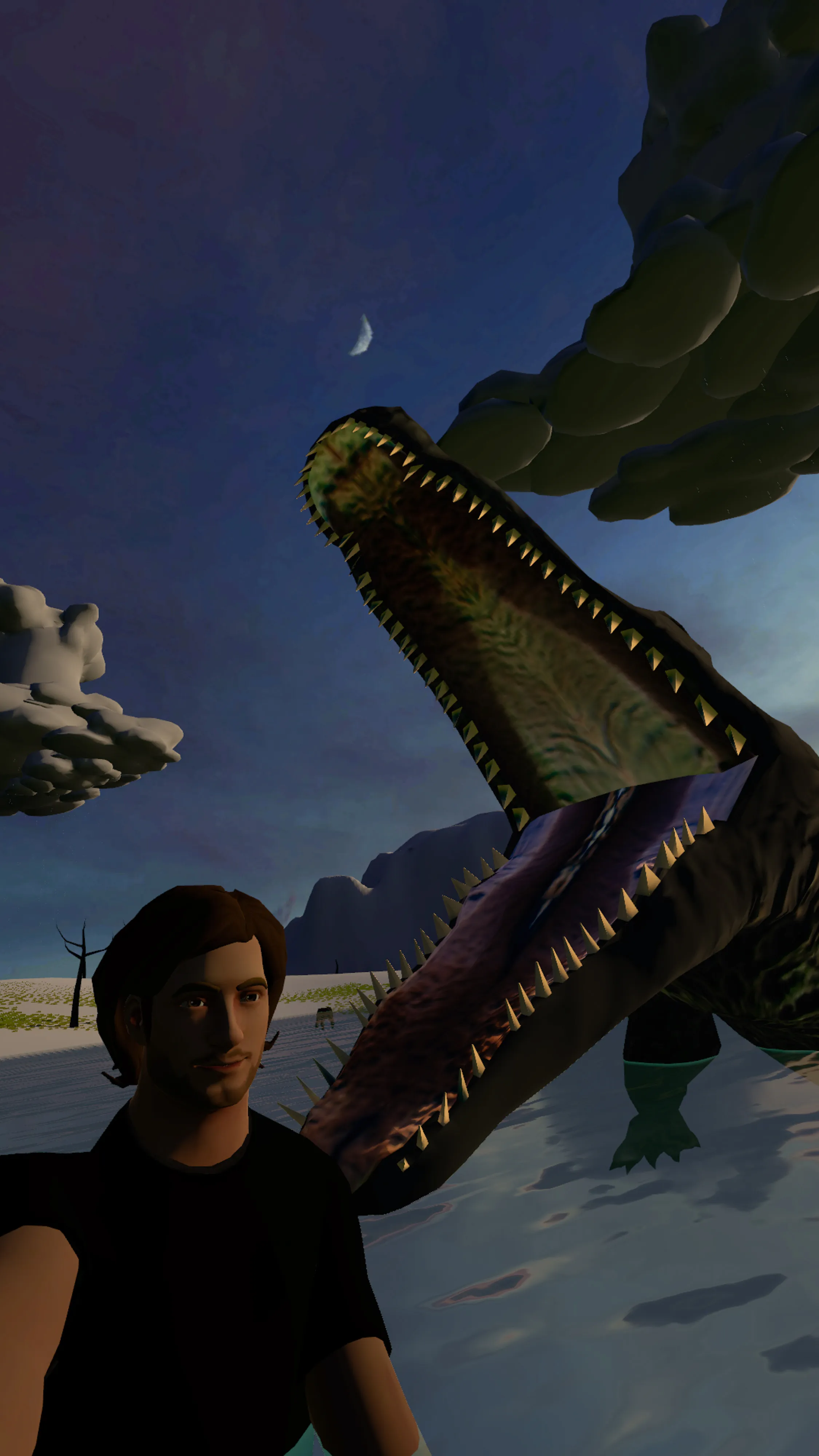 Self-portrait right before being killed by a crocodile in the Metaverse.  This project began with an assignment for National Geographic magazine documenting the metaverse and grew into many additional projects including this 100 self-portraits series, all made using an in world camera.  Taken in VRChat in a world called Bless the Rains built by Fionna.