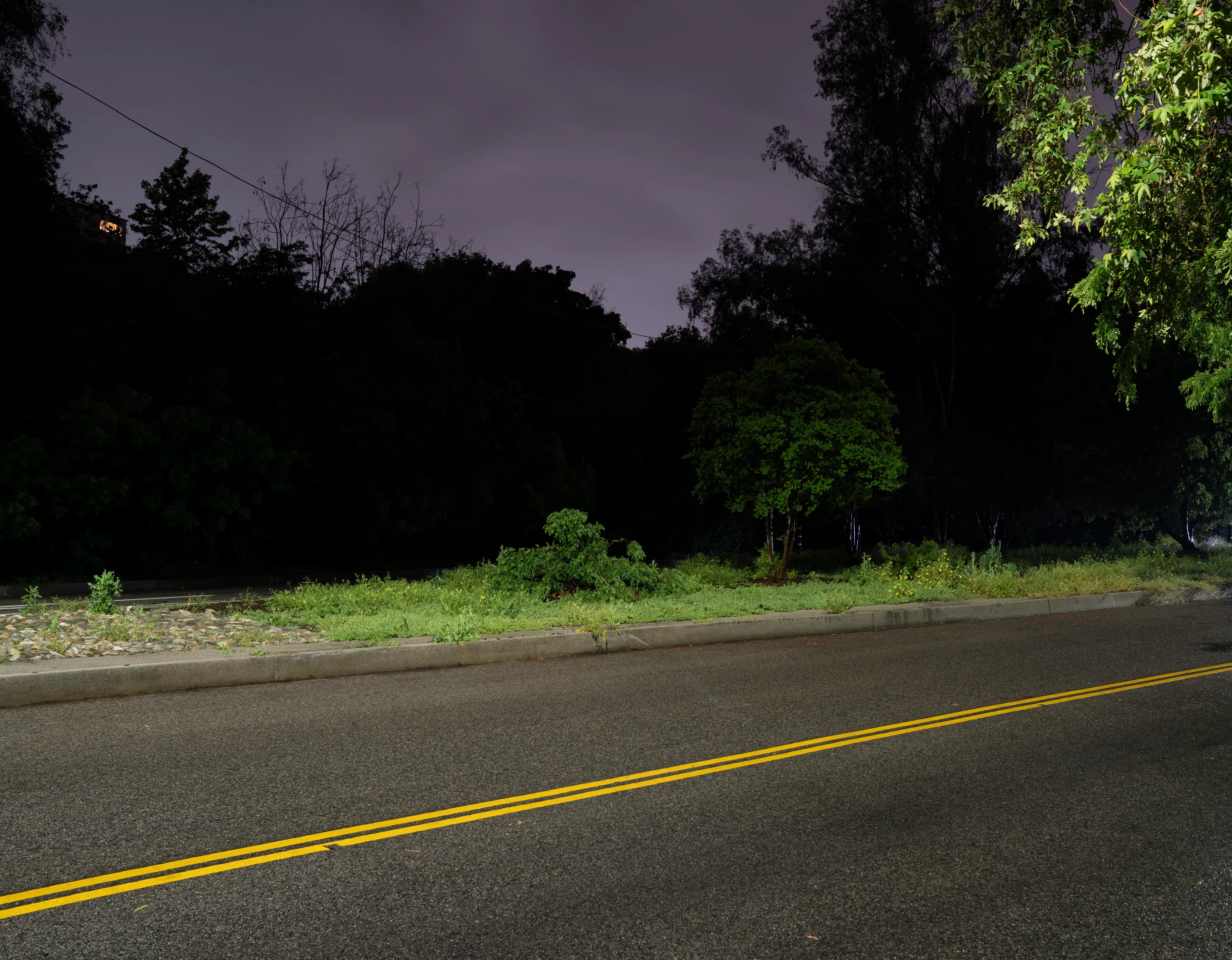 Echoing The World Today's homage to the Mid-20th Century, this collection draws inspiration from "The Pedestrian," a story by Ray Bradbury about a man who wanders city streets alone at night.

Photographing in a different Los Angeles neighborhood each night, people were often skeptical of my presence, drawing a parallel to experiences Bradbury had during his own nocturnal walks in Beverly Hills, which inspired him to write his story seventy-plus years ago.

One night, I decided to bring along Galaxy, my fawn-colored pug, and my presence became more innocuous. He unknowingly became instrumental in finding that unique quietness found only in L.A.'s lonely, dark corners.