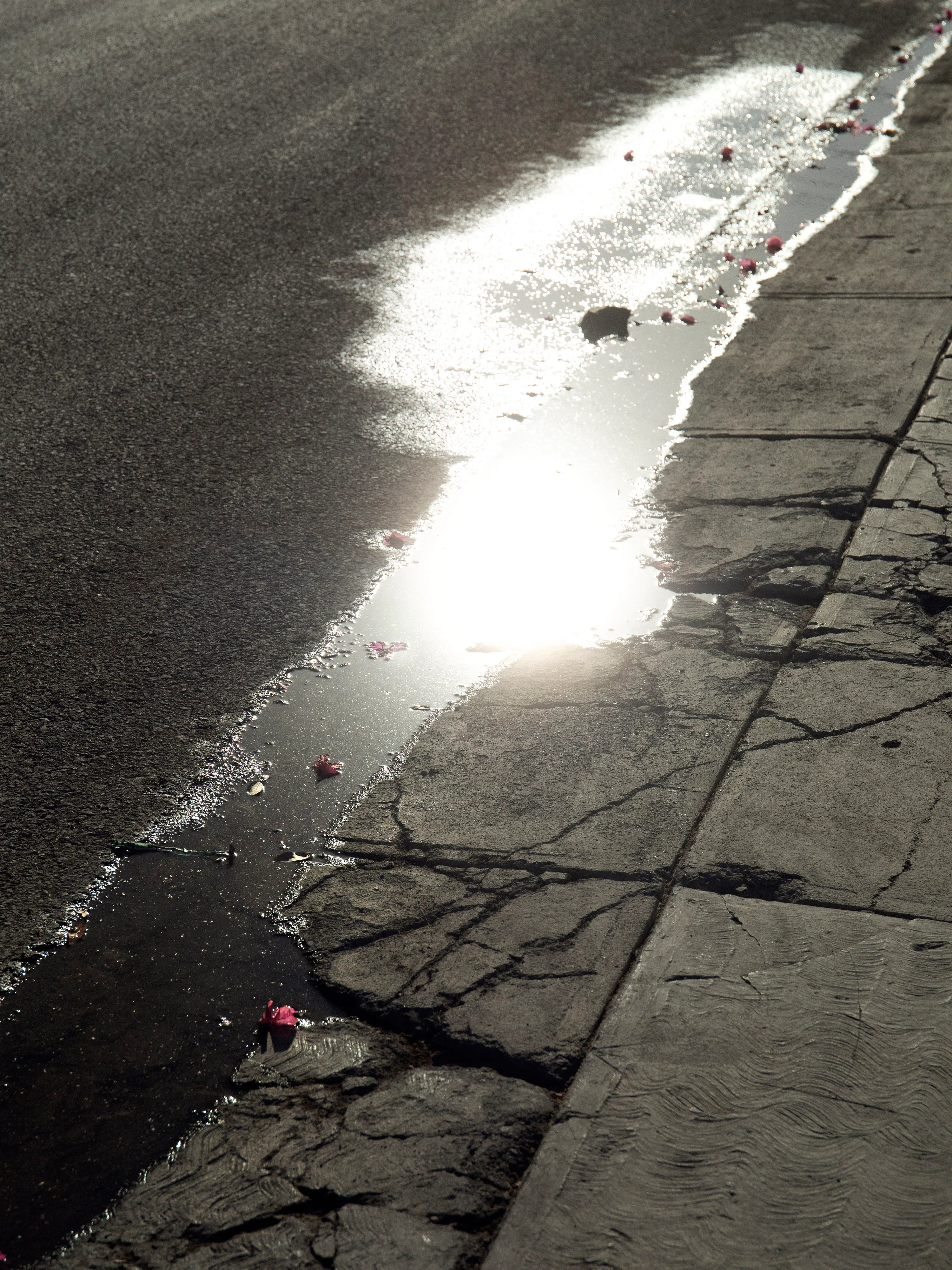 The sun on the floor.