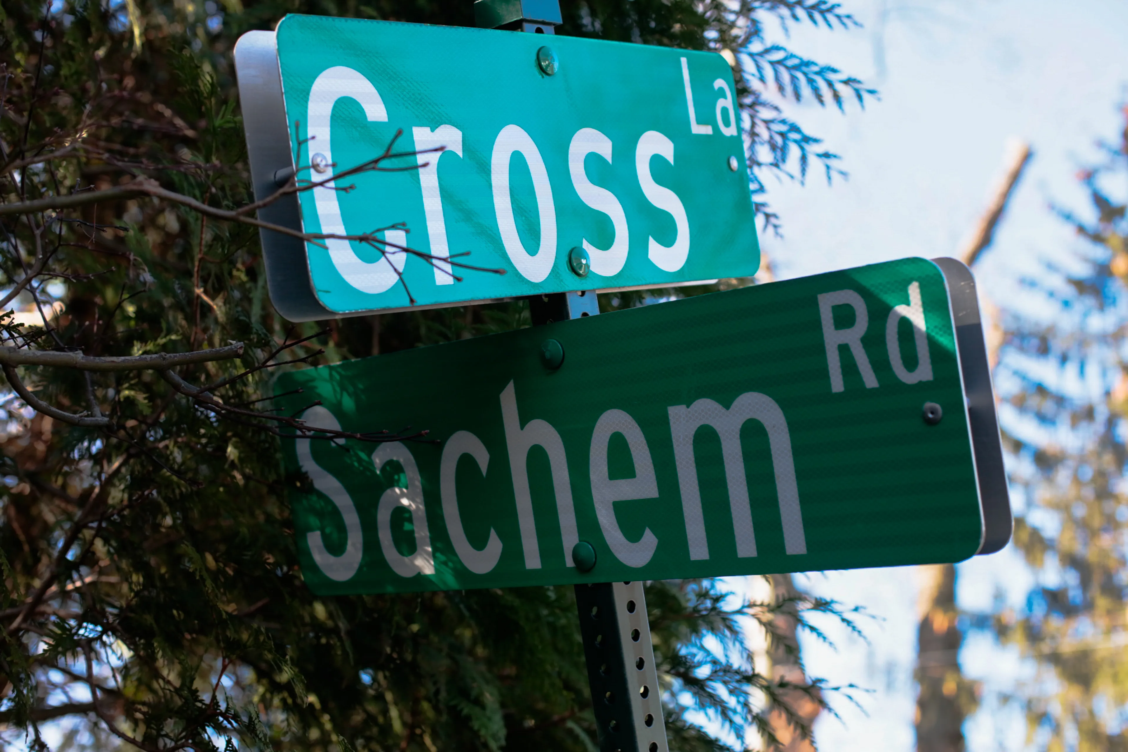 Greenwich, Connecticut, a suburb of New York City, is one of the wealthiest towns in the world. What remains of the original indigenous inhabitants of the land, while not invisible, can be hard to see. The land was commodified by settlers nearly four centuries ago. The native Siwanoy people were mistreated and removed from their land, but a friendly narrative of sharing of the land is used to justify the virtually infinite wealth of today’s inhabitants. Massive estates now sit on streets with indigenous names. Property owners bolt convex mirrors to trees to make sure they can see everything behind them clearly, to keep their expensive cars safe as they leave their wide driveways. But rearview vision can be distorted. These mirrors make everything look like a funhouse, and make it difficult to escape seeing one’s own reflection. 

In my first NFT project, I am reflecting on the perils of commodification in the context of what seems like the latest technology to encourage it. When property ownership moves from the ephemeral to the physical or from the physical to the ephemeral, what is lost? Is anything gained? For whom? What stories do we tell to justify our decisions, and what distorted mirrors do we employ to look back and feel safe?