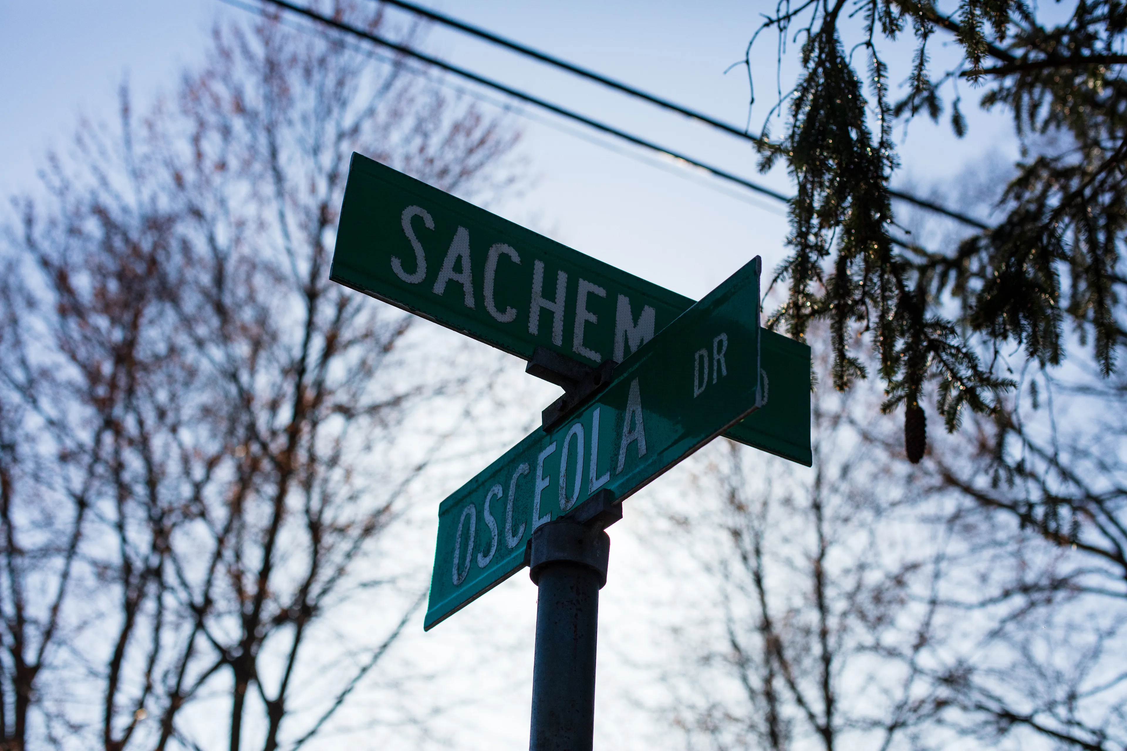 Greenwich, Connecticut, a suburb of New York City, is one of the wealthiest towns in the world. What remains of the original indigenous inhabitants of the land, while not invisible, can be hard to see. The land was commodified by settlers nearly four centuries ago. The native Siwanoy people were mistreated and removed from their land, but a friendly narrative of sharing of the land is used to justify the virtually infinite wealth of today’s inhabitants. Massive estates now sit on streets with indigenous names. Property owners bolt convex mirrors to trees to make sure they can see everything behind them clearly, to keep their expensive cars safe as they leave their wide driveways. But rearview vision can be distorted. These mirrors make everything look like a funhouse, and make it difficult to escape seeing one’s own reflection. 

In my first NFT project, I am reflecting on the perils of commodification in the context of what seems like the latest technology to encourage it. When property ownership moves from the ephemeral to the physical or from the physical to the ephemeral, what is lost? Is anything gained? For whom? What stories do we tell to justify our decisions, and what distorted mirrors do we employ to look back and feel safe?