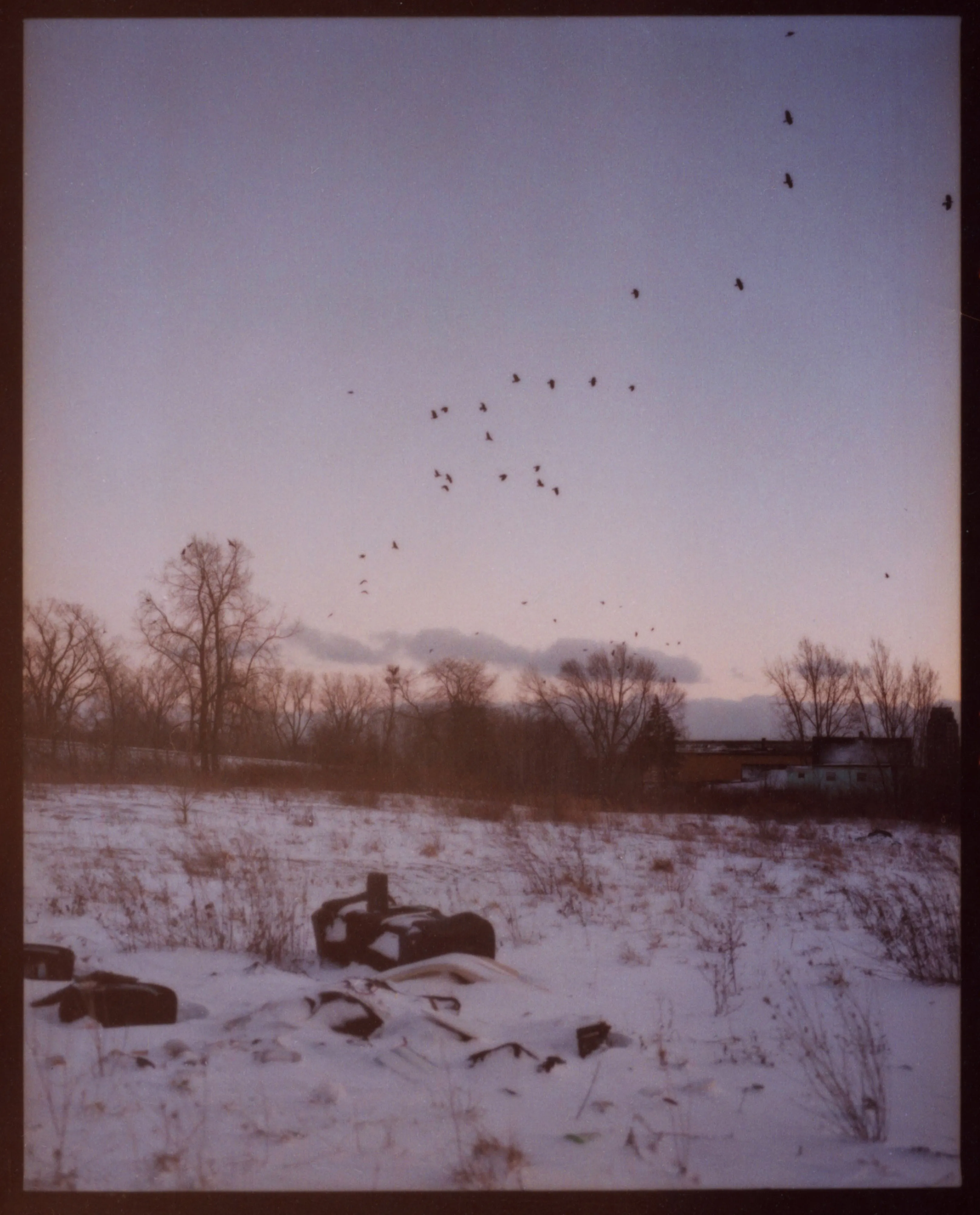 These pictures were made in and around Buffalo, New York, where I grew up. They were made on medium-format film, printed as analog contact sheets and then scanned on a flatbed scanner.  This process creates occasional dust, imperfections and a sense of softness to the image.