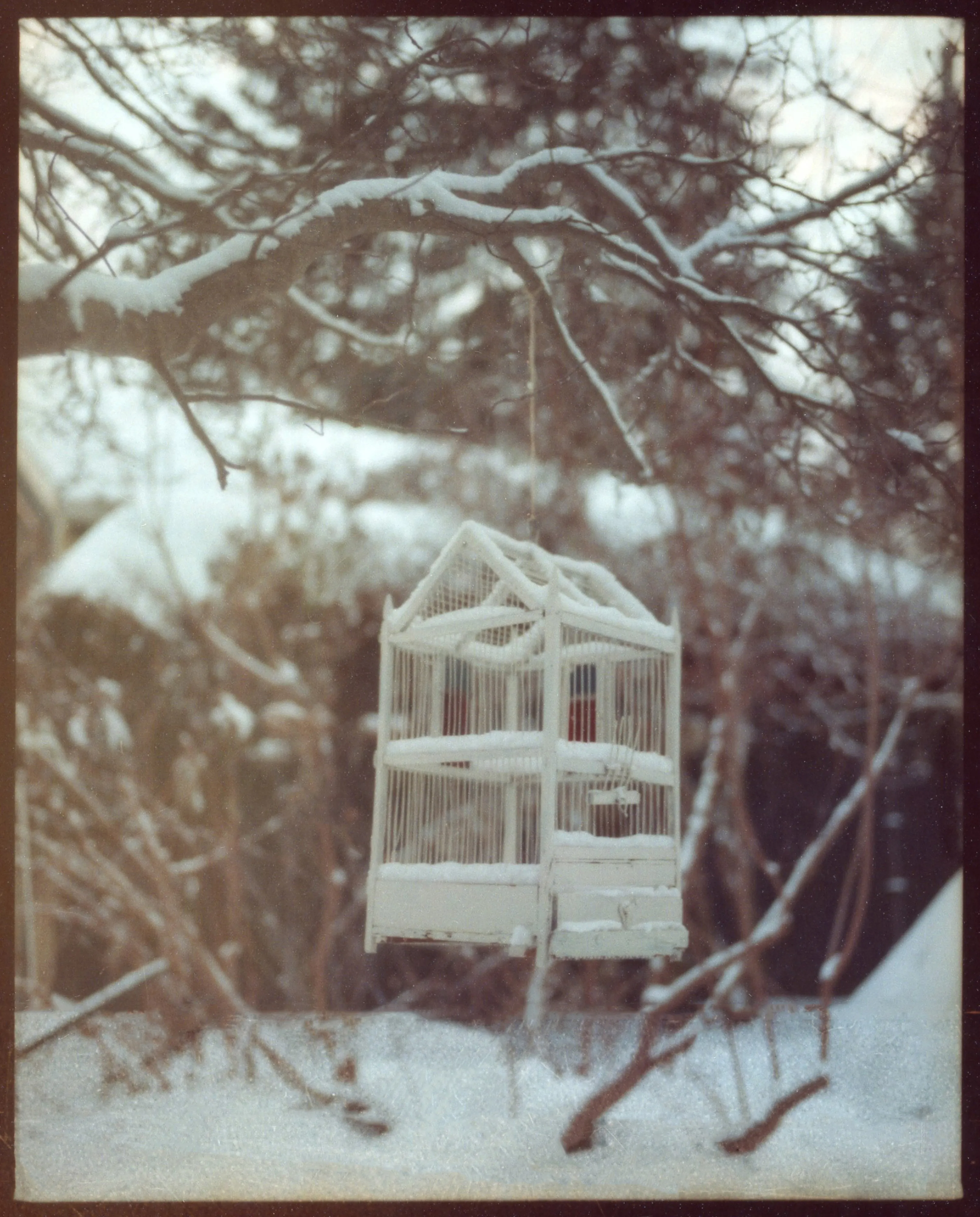 These pictures were made in and around Buffalo, New York, where I grew up. They were made on medium-format film, printed as analog contact sheets and then scanned on a flatbed scanner.  This process creates occasional dust, imperfections and a sense of softness to the image.