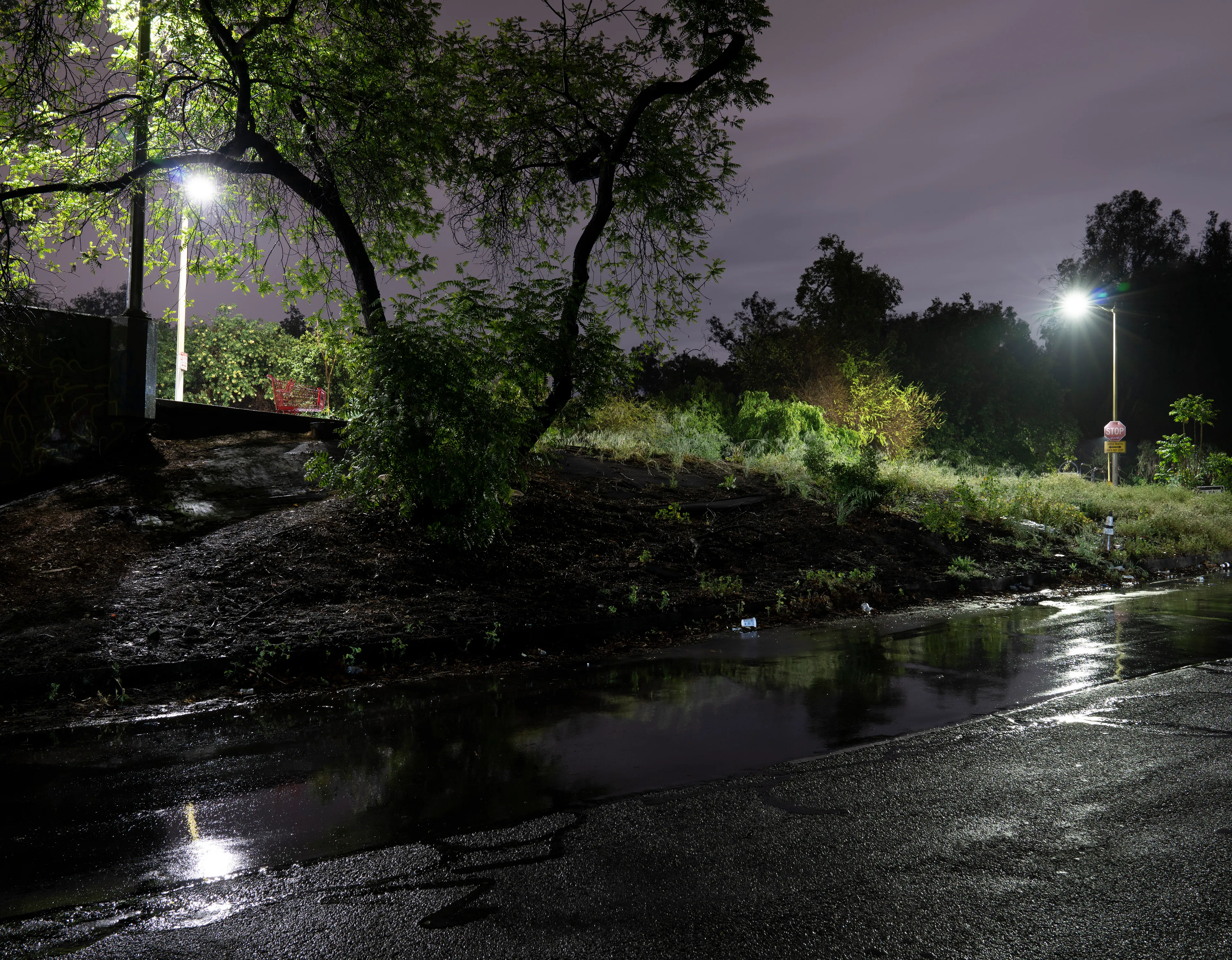 Echoing The World Today's homage to the Mid-20th Century, this collection draws inspiration from "The Pedestrian," a story by Ray Bradbury about a man who wanders city streets alone at night.

Photographing in a different Los Angeles neighborhood each night, people were often skeptical of my presence, drawing a parallel to experiences Bradbury had during his own nocturnal walks in Beverly Hills, which inspired him to write his story seventy-plus years ago.

One night, I decided to bring along Galaxy, my fawn-colored pug, and my presence became more innocuous. He unknowingly became instrumental in finding that unique quietness found only in L.A.'s lonely, dark corners.
