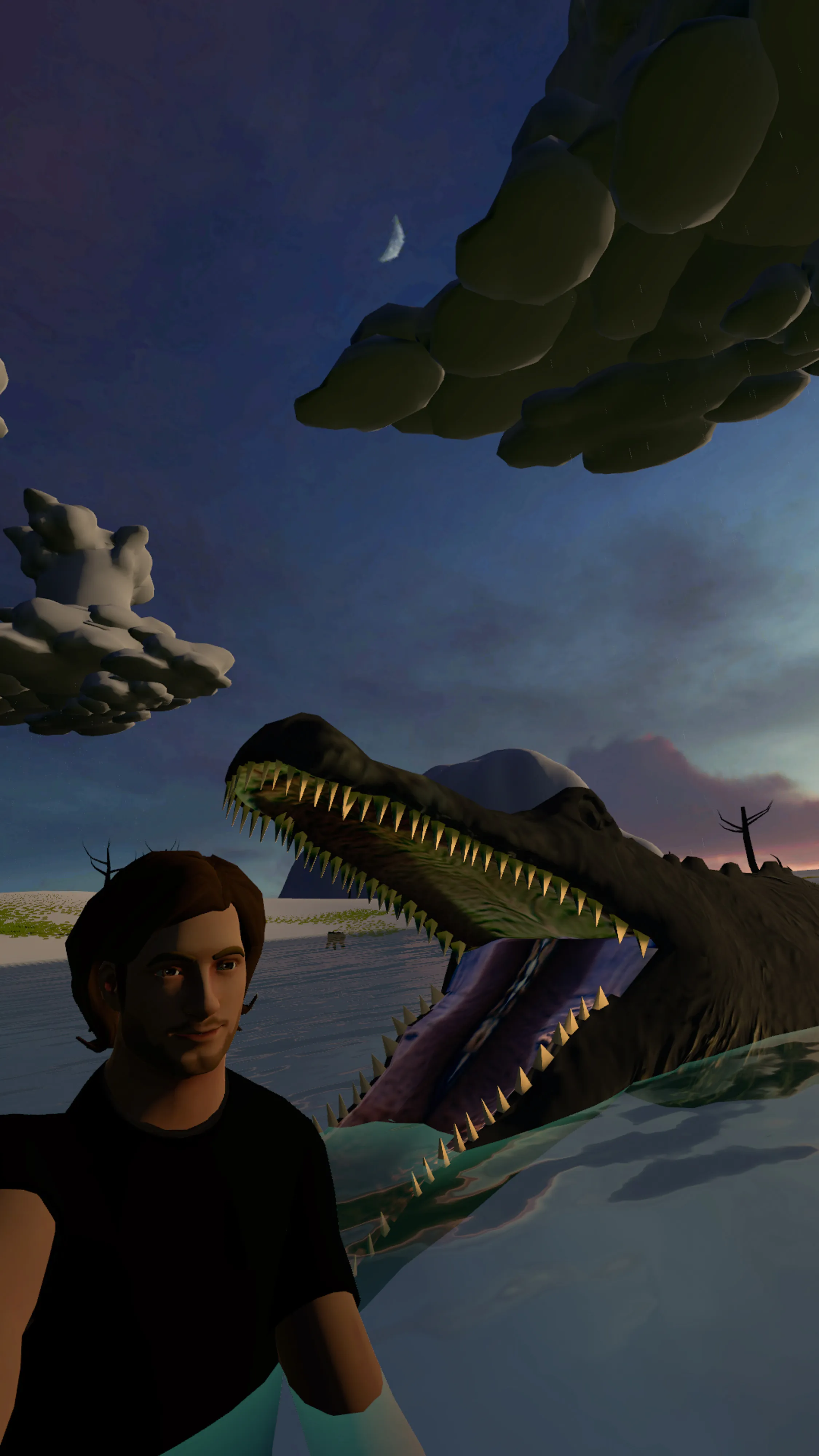 Self-portrait right before being killed by a crocodile in the Metaverse.  This project began with an assignment for National Geographic magazine documenting the metaverse and grew into many additional projects including this 100 self-portraits series, all made using an in world camera.  Taken in VRChat in a world called Bless the Rains built by Fionna.