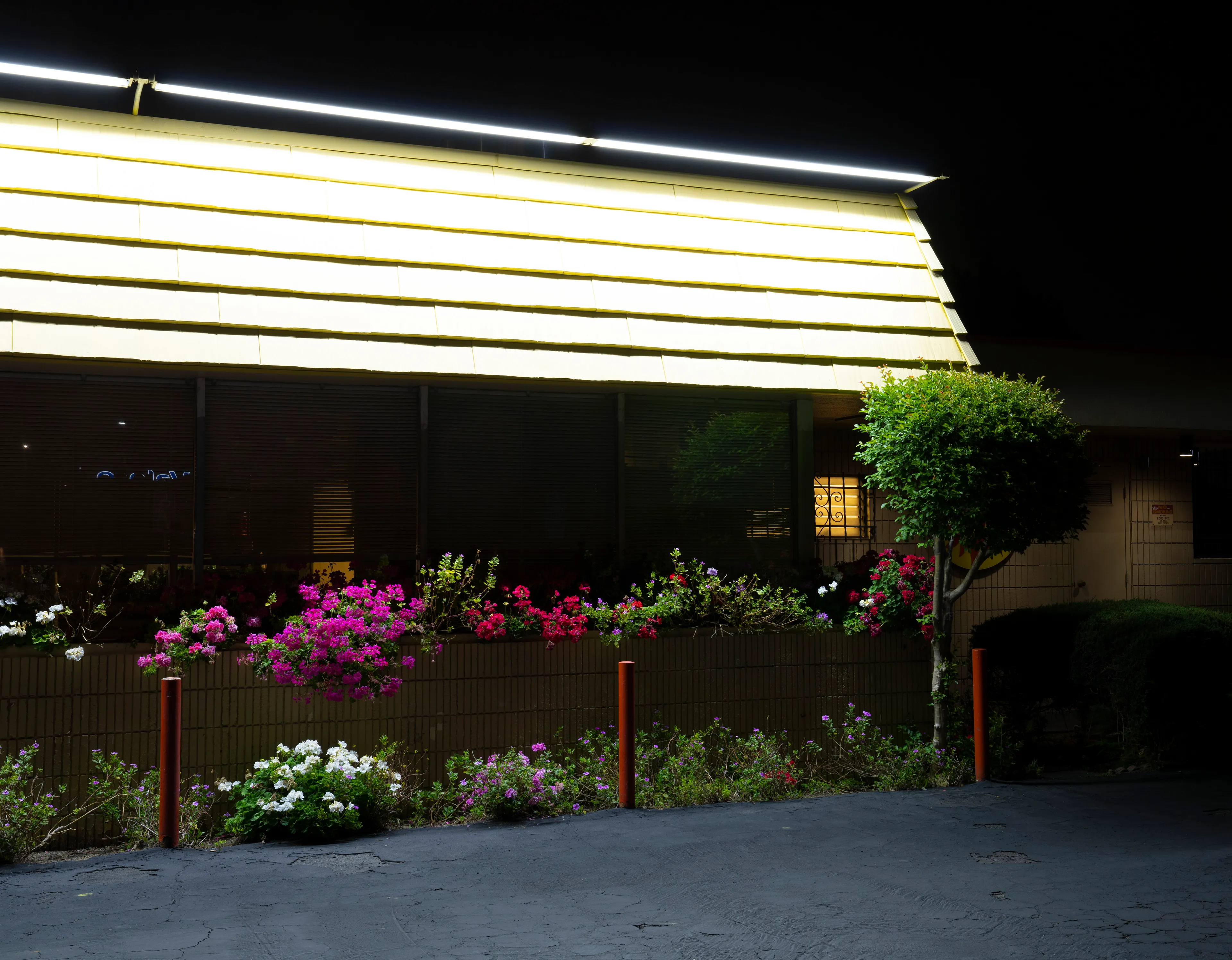 Echoing The World Today's homage to the Mid-20th Century, this collection draws inspiration from "The Pedestrian," a story by Ray Bradbury about a man who wanders city streets alone at night.

Photographing in a different Los Angeles neighborhood each night, people were often skeptical of my presence, drawing a parallel to experiences Bradbury had during his own nocturnal walks in Beverly Hills, which inspired him to write his story seventy-plus years ago.

One night, I decided to bring along Galaxy, my fawn-colored pug, and my presence became more innocuous. He unknowingly became instrumental in finding that unique quietness found only in L.A.'s lonely, dark corners.