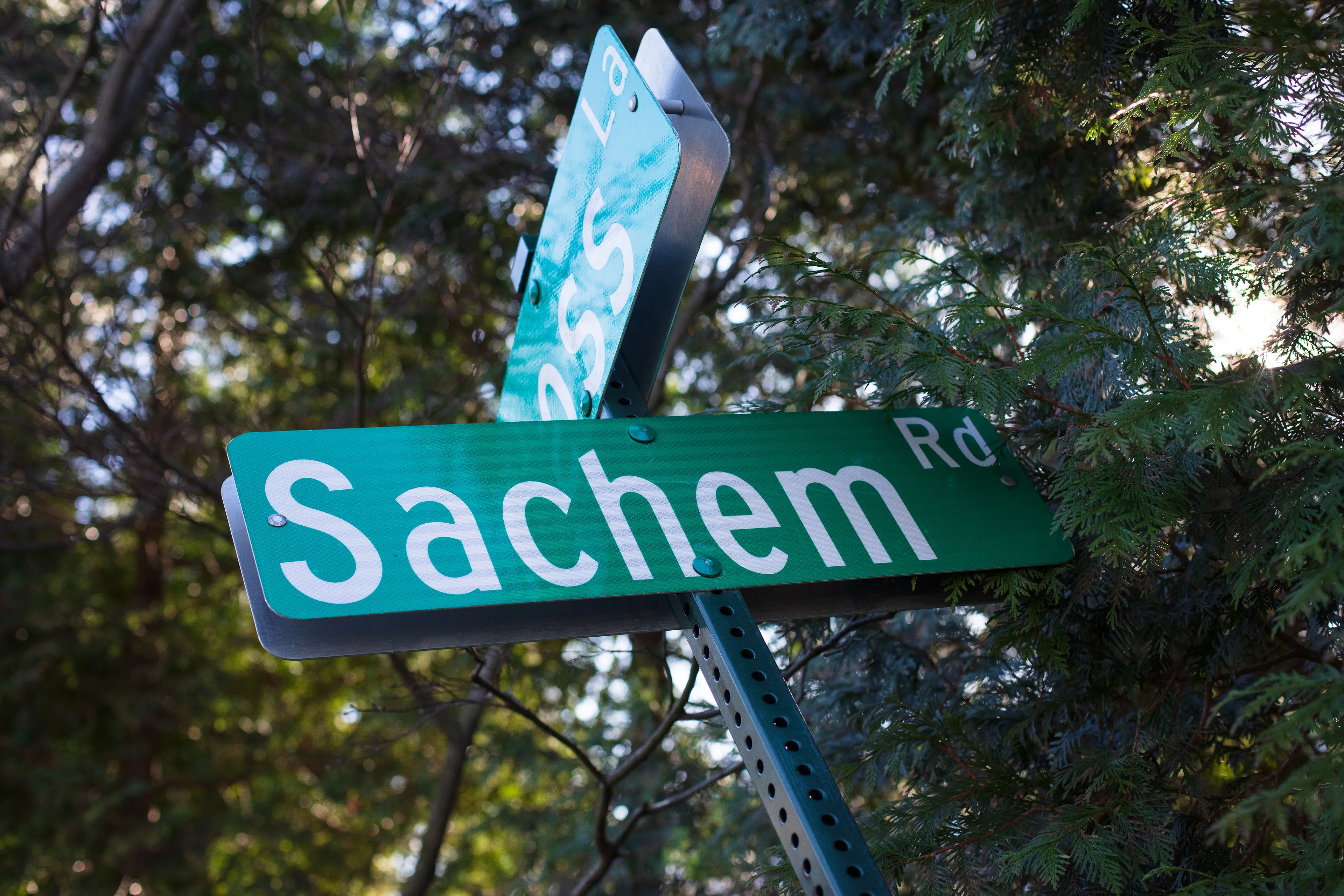 Greenwich, Connecticut, a suburb of New York City, is one of the wealthiest towns in the world. What remains of the original indigenous inhabitants of the land, while not invisible, can be hard to see. The land was commodified by settlers nearly four centuries ago. The native Siwanoy people were mistreated and removed from their land, but a friendly narrative of sharing of the land is used to justify the virtually infinite wealth of today’s inhabitants. Massive estates now sit on streets with indigenous names. Property owners bolt convex mirrors to trees to make sure they can see everything behind them clearly, to keep their expensive cars safe as they leave their wide driveways. But rearview vision can be distorted. These mirrors make everything look like a funhouse, and make it difficult to escape seeing one’s own reflection. 

In my first NFT project, I am reflecting on the perils of commodification in the context of what seems like the latest technology to encourage it. When property ownership moves from the ephemeral to the physical or from the physical to the ephemeral, what is lost? Is anything gained? For whom? What stories do we tell to justify our decisions, and what distorted mirrors do we employ to look back and feel safe?