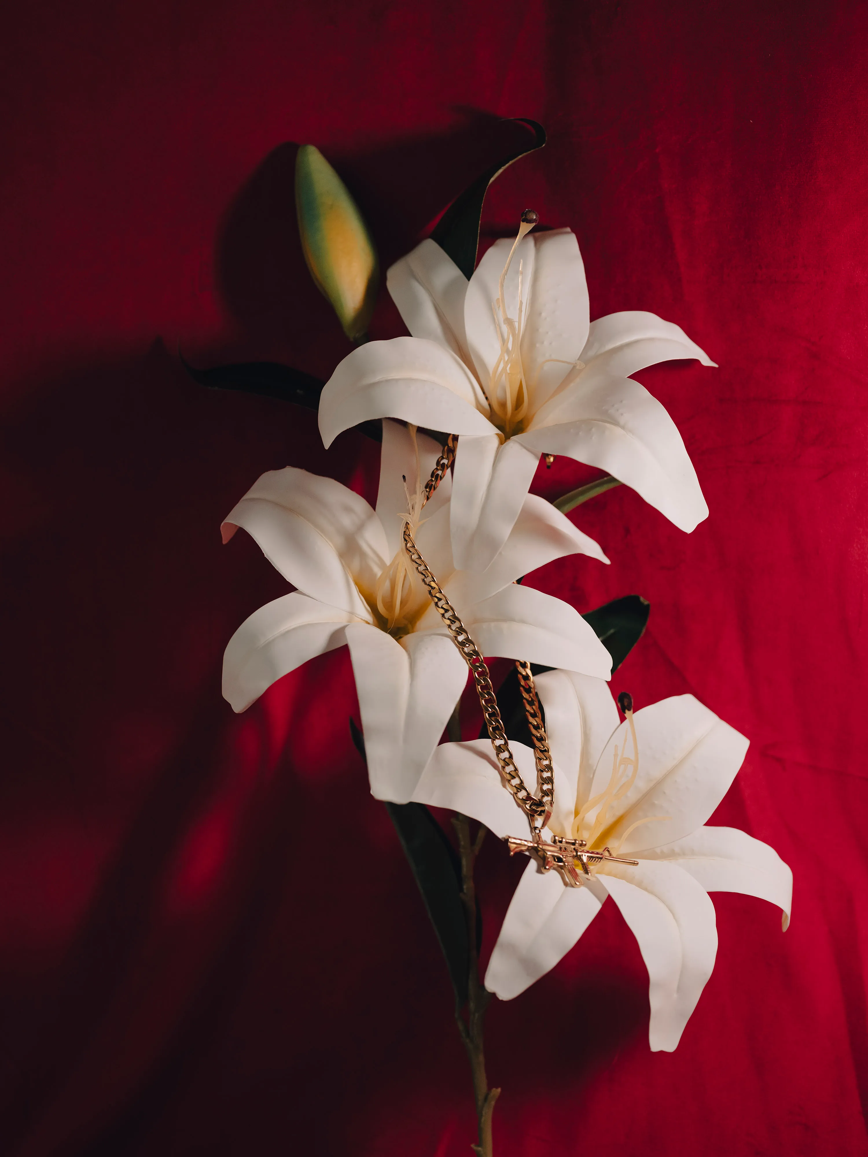 Did you know that lilies are poisonous for cats? The leaves, flower, pollen, and stem all contain a toxin that causes acute kidney failure. Cats can ingest enough of toxin by grooming pollen off themselves, biting leaves and flowers,or by the actual swallowing of any part of the lily plant

