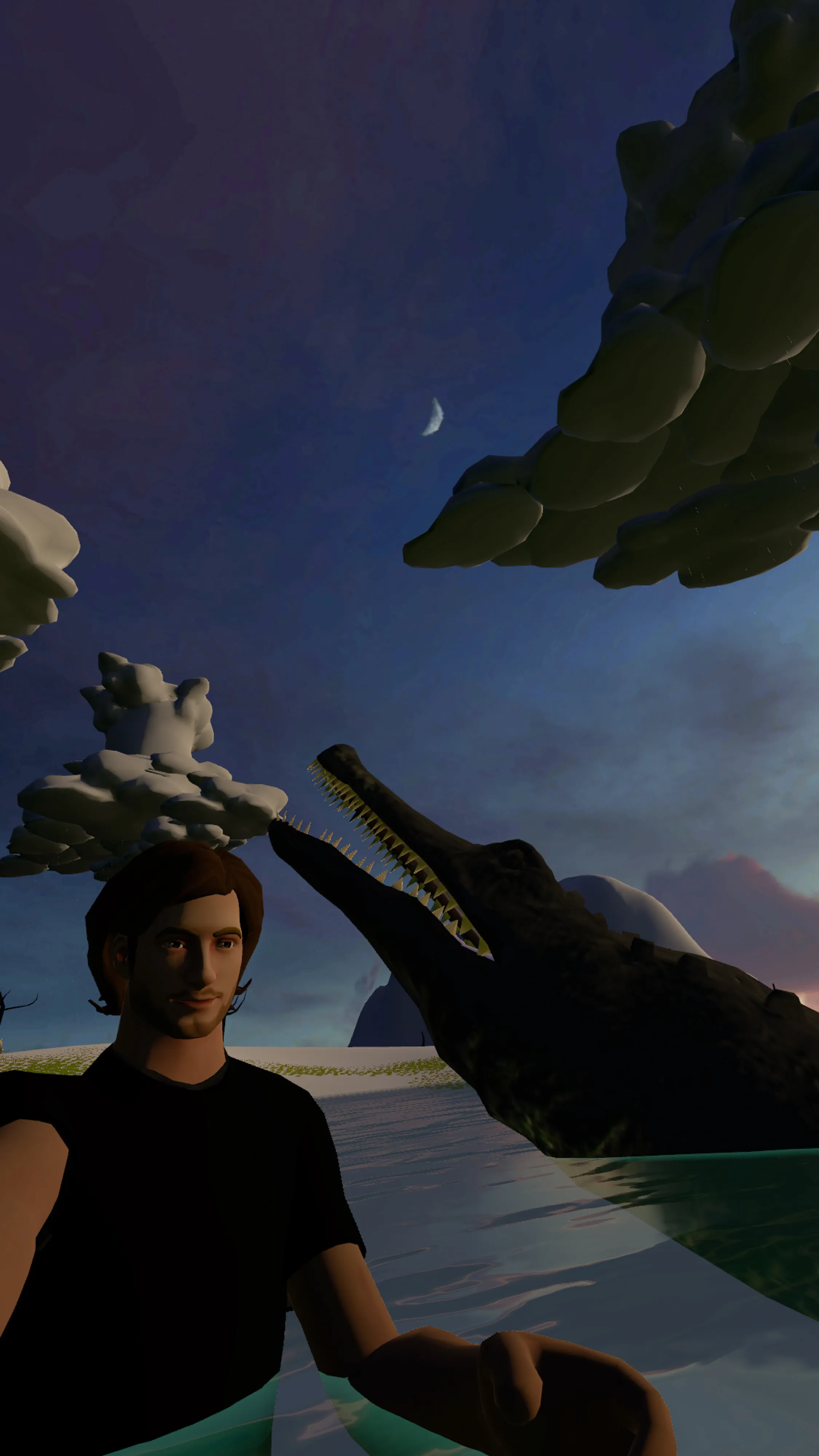 Self-portrait right before being killed by a crocodile in the Metaverse.  This project began with an assignment for National Geographic magazine documenting the metaverse and grew into many additional projects including this 100 self-portraits series, all made using an in world camera.  Taken in VRChat in a world called Bless the Rains built by Fionna.