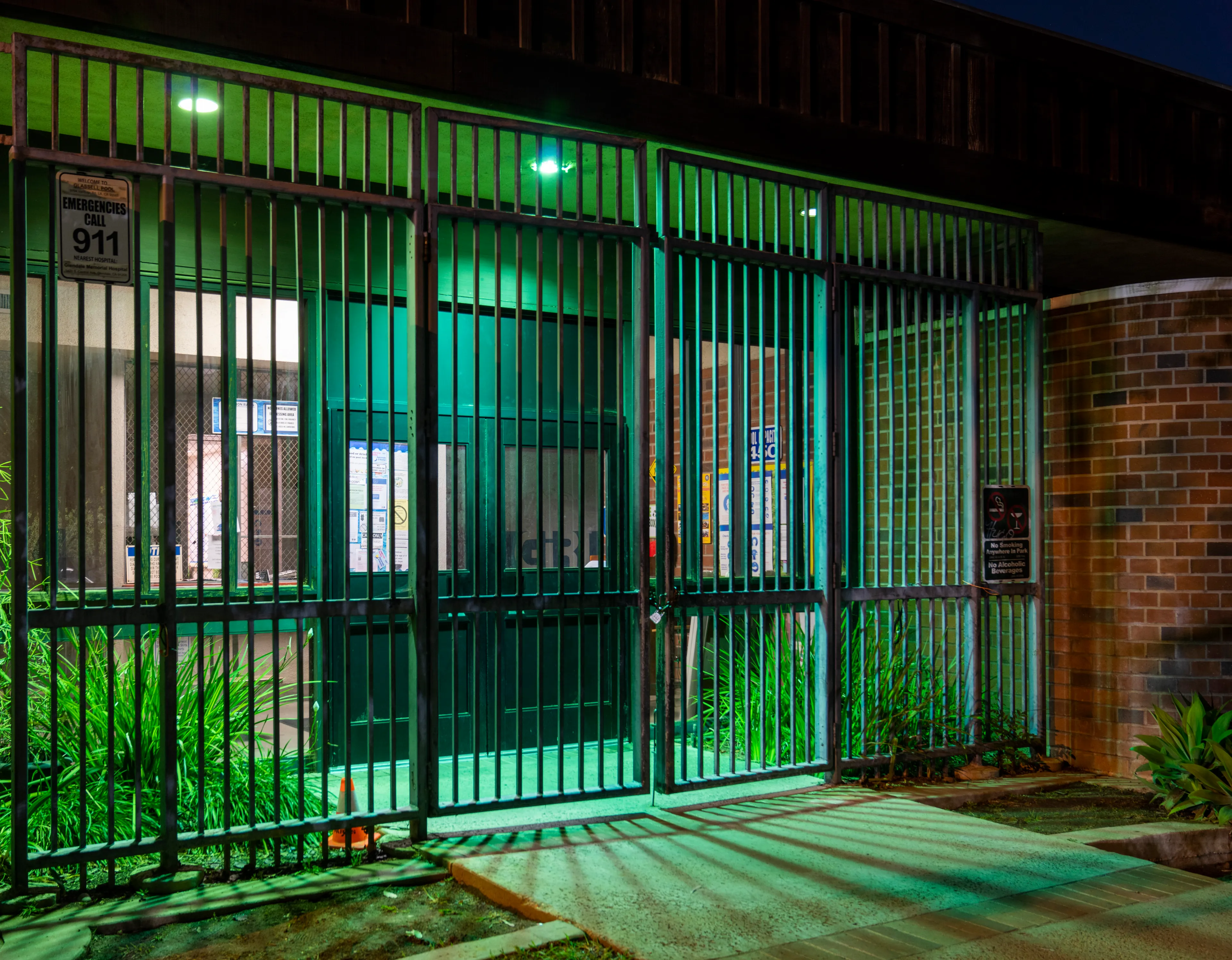 Echoing The World Today's homage to the Mid-20th Century, this collection draws inspiration from "The Pedestrian," a story by Ray Bradbury about a man who wanders city streets alone at night.

Photographing in a different Los Angeles neighborhood each night, people were often skeptical of my presence, drawing a parallel to experiences Bradbury had during his own nocturnal walks in Beverly Hills, which inspired him to write his story seventy-plus years ago.

One night, I decided to bring along Galaxy, my fawn-colored pug, and my presence became more innocuous. He unknowingly became instrumental in finding that unique quietness found only in L.A.'s lonely, dark corners.