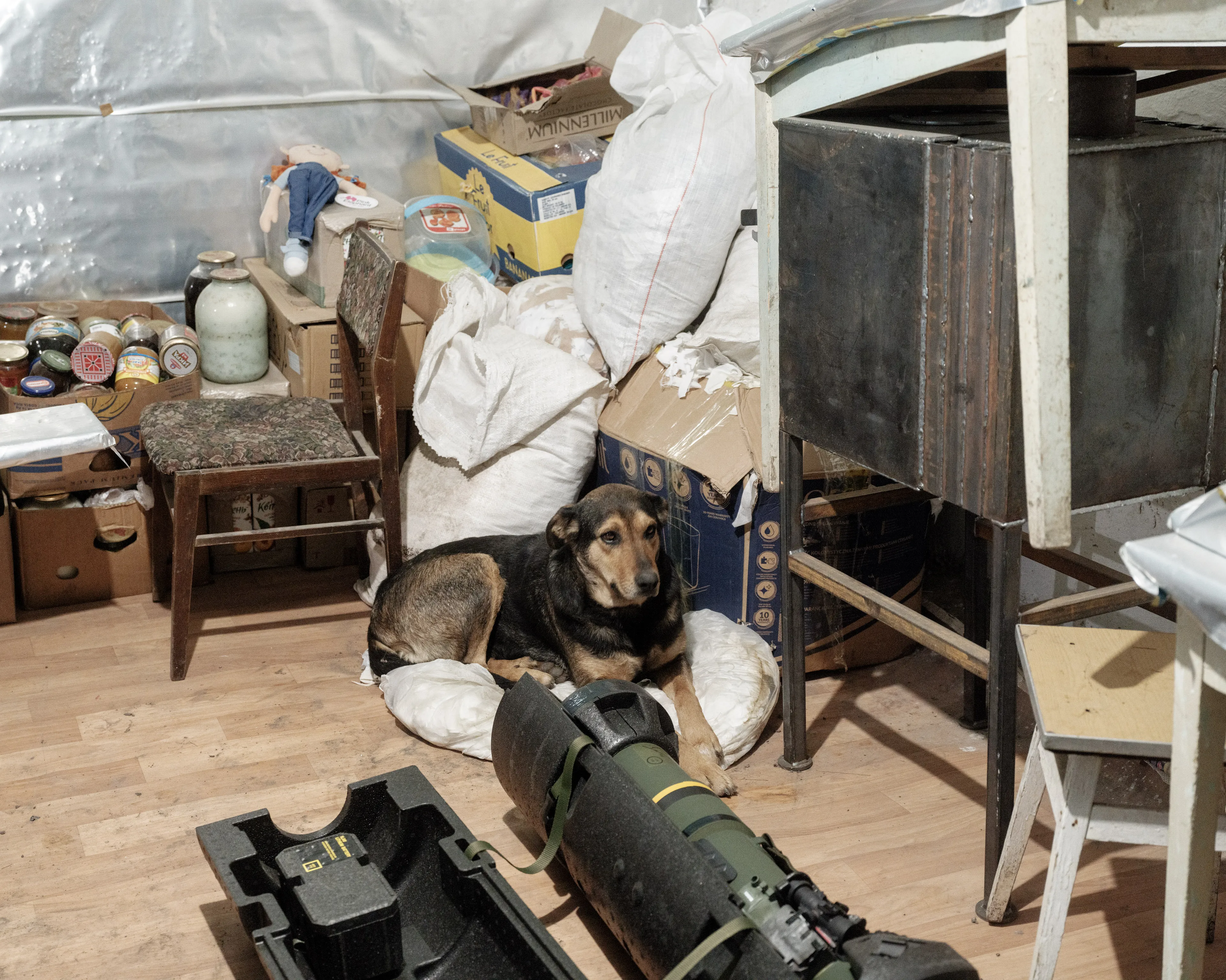 This selection of 100 images represents my trip to Ukraine from the 14th of February 2022 until the 24th of February 2022, the day the Russian army started its invasion. -  Inside one of the underground positions maintained by the Ukrainian army, a dog between a Javelin rockets.