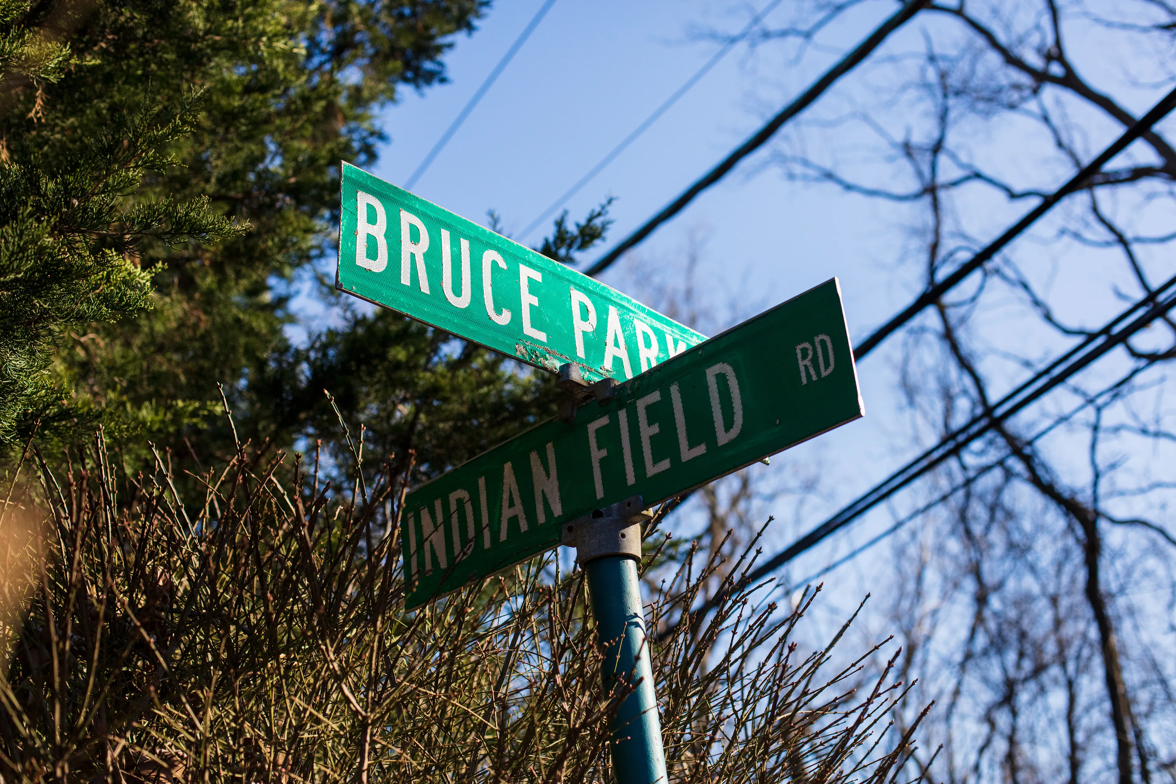 Greenwich, Connecticut, a suburb of New York City, is one of the wealthiest towns in the world. What remains of the original indigenous inhabitants of the land, while not invisible, can be hard to see. The land was commodified by settlers nearly four centuries ago. The native Siwanoy people were mistreated and removed from their land, but a friendly narrative of sharing of the land is used to justify the virtually infinite wealth of today’s inhabitants. Massive estates now sit on streets with indigenous names. Property owners bolt convex mirrors to trees to make sure they can see everything behind them clearly, to keep their expensive cars safe as they leave their wide driveways. But rearview vision can be distorted. These mirrors make everything look like a funhouse, and make it difficult to escape seeing one’s own reflection. 

In my first NFT project, I am reflecting on the perils of commodification in the context of what seems like the latest technology to encourage it. When property ownership moves from the ephemeral to the physical or from the physical to the ephemeral, what is lost? Is anything gained? For whom? What stories do we tell to justify our decisions, and what distorted mirrors do we employ to look back and feel safe?
