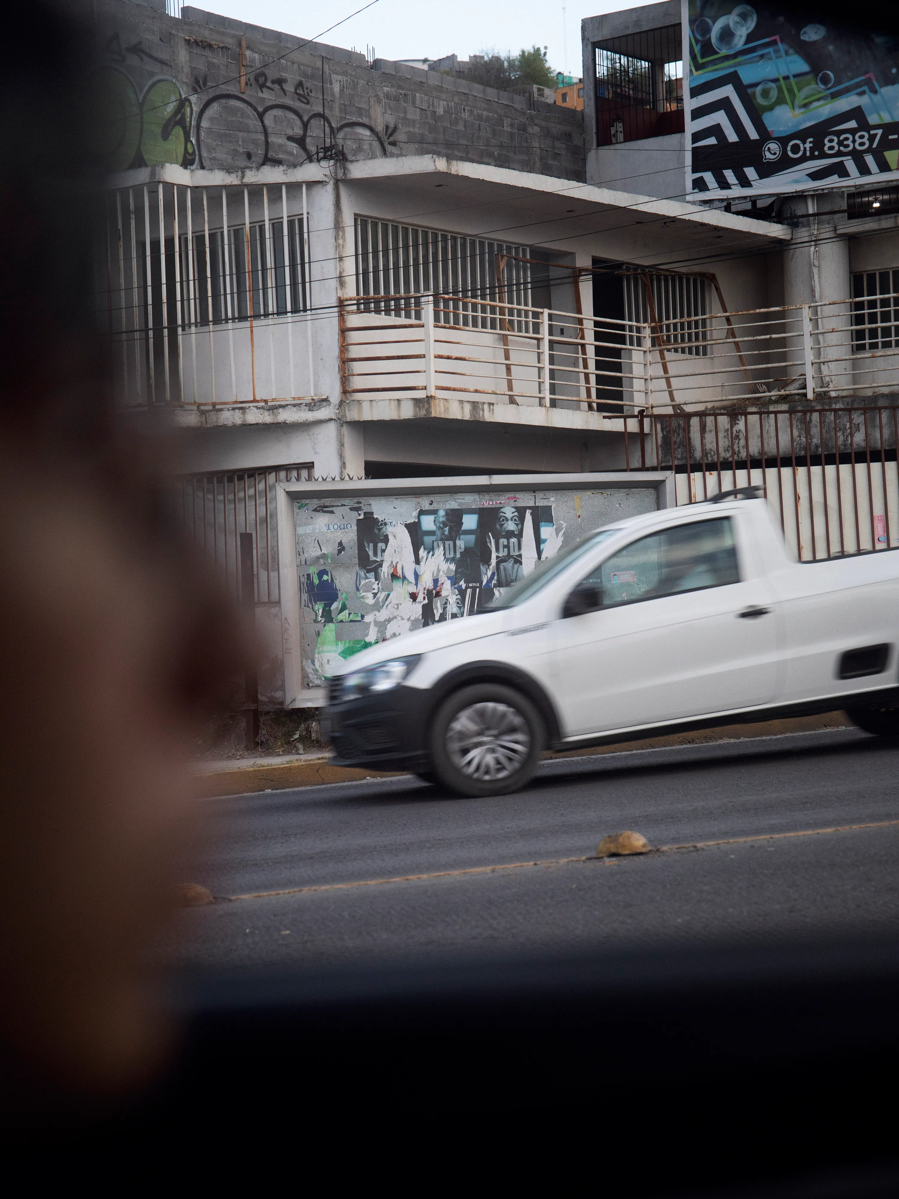Scarlett in the car.