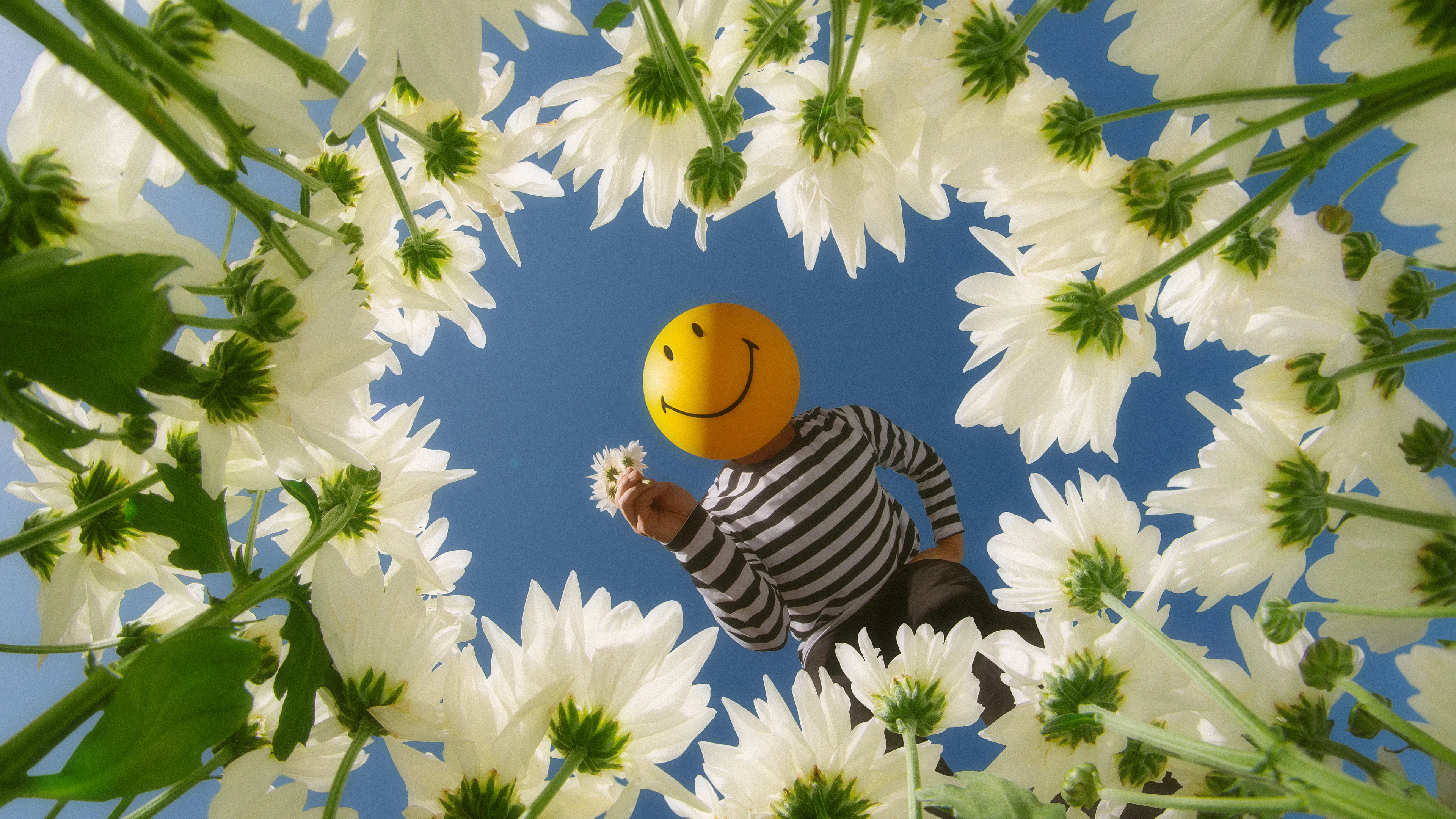 
Give me your answer do...

Composited Photograph, 2024