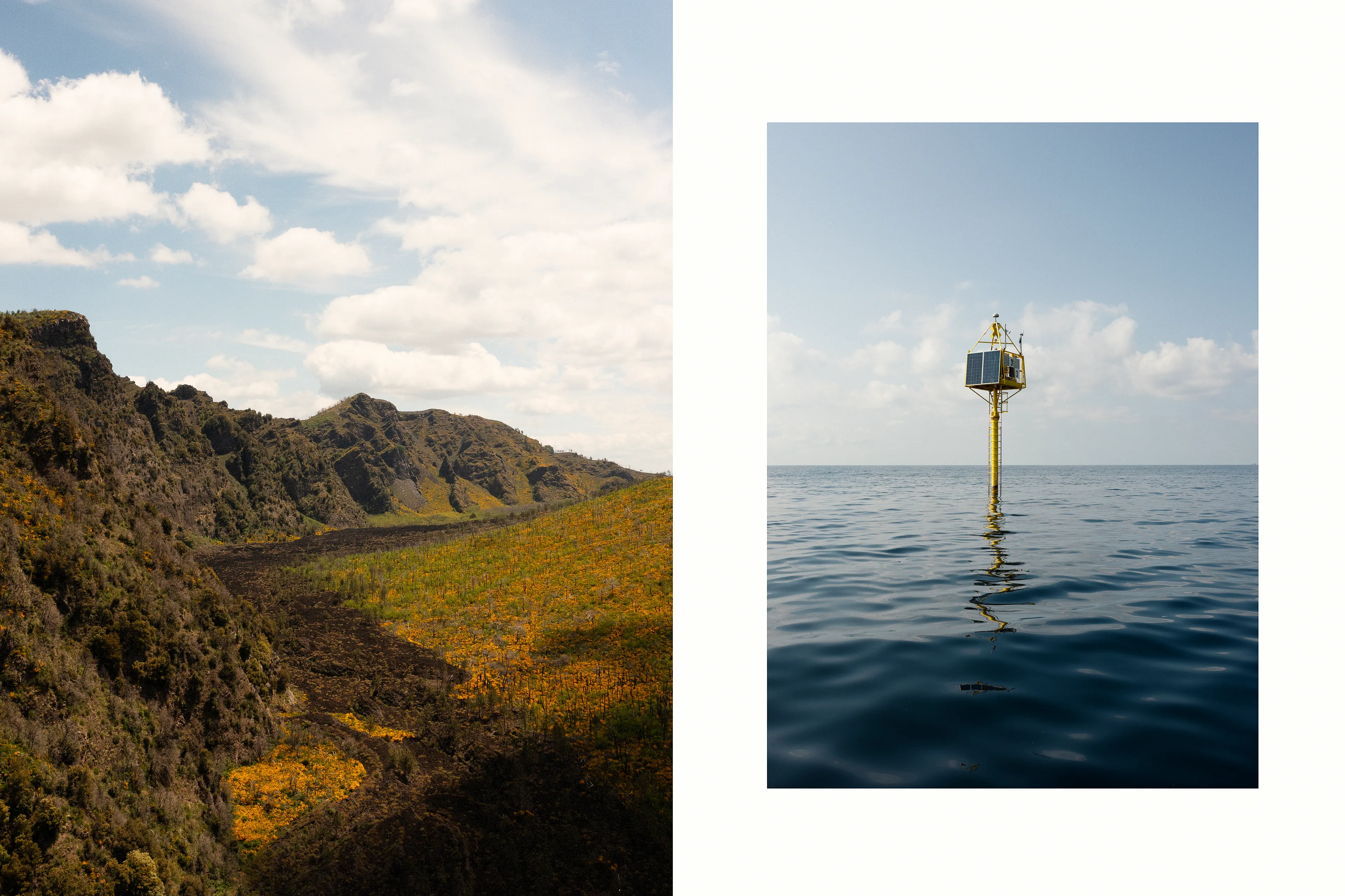 Discarded Diptych #3