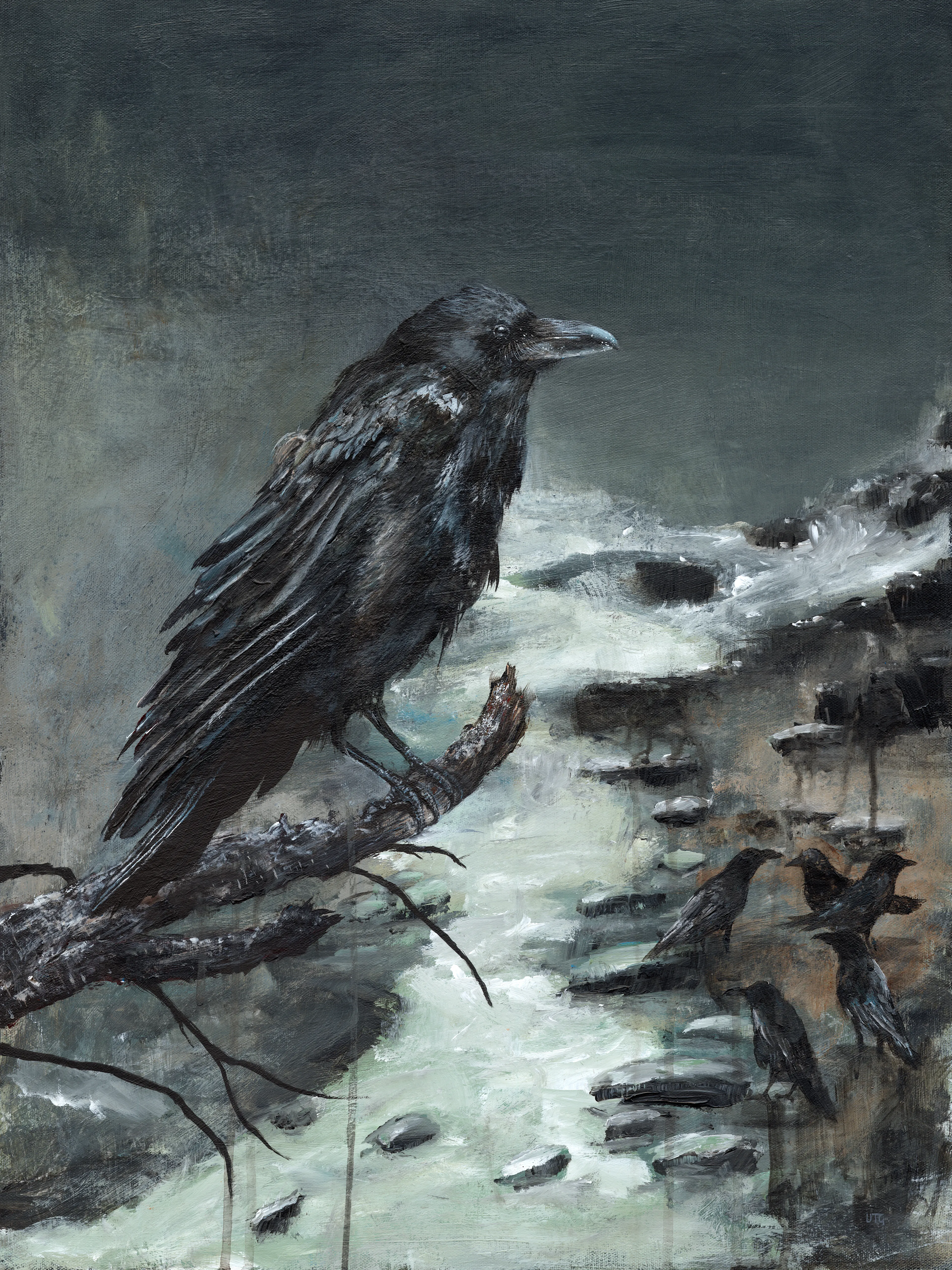 This is the third installation of my raven story edition, "Unveiling a Conspiracy".  This is a collection of visual narratives about one of my favorite creatures the raven. In "Unveiling a Conspiracy" a group of ravens, an unkindness, gathers to make mischief.