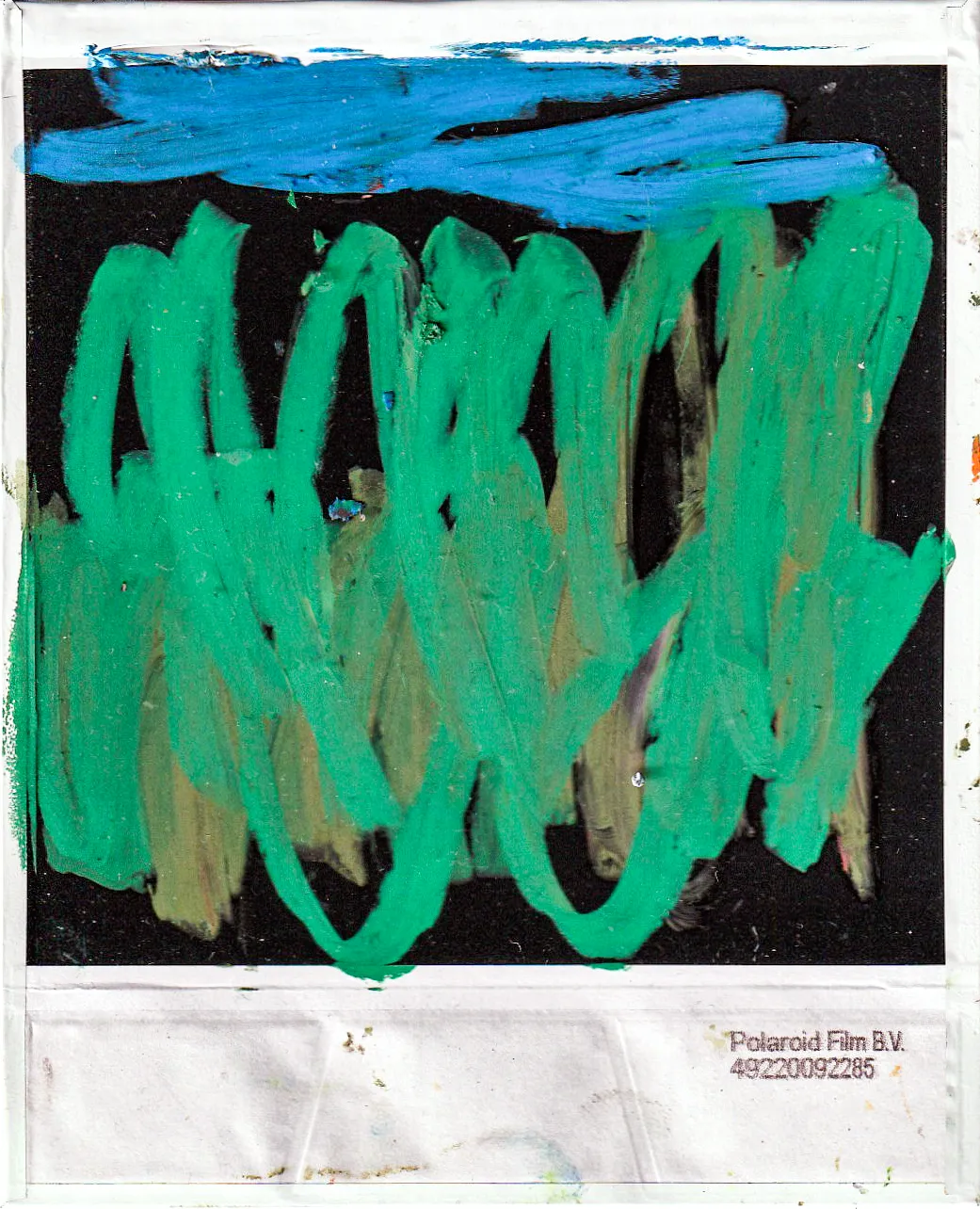 oil pastels on polaroid 