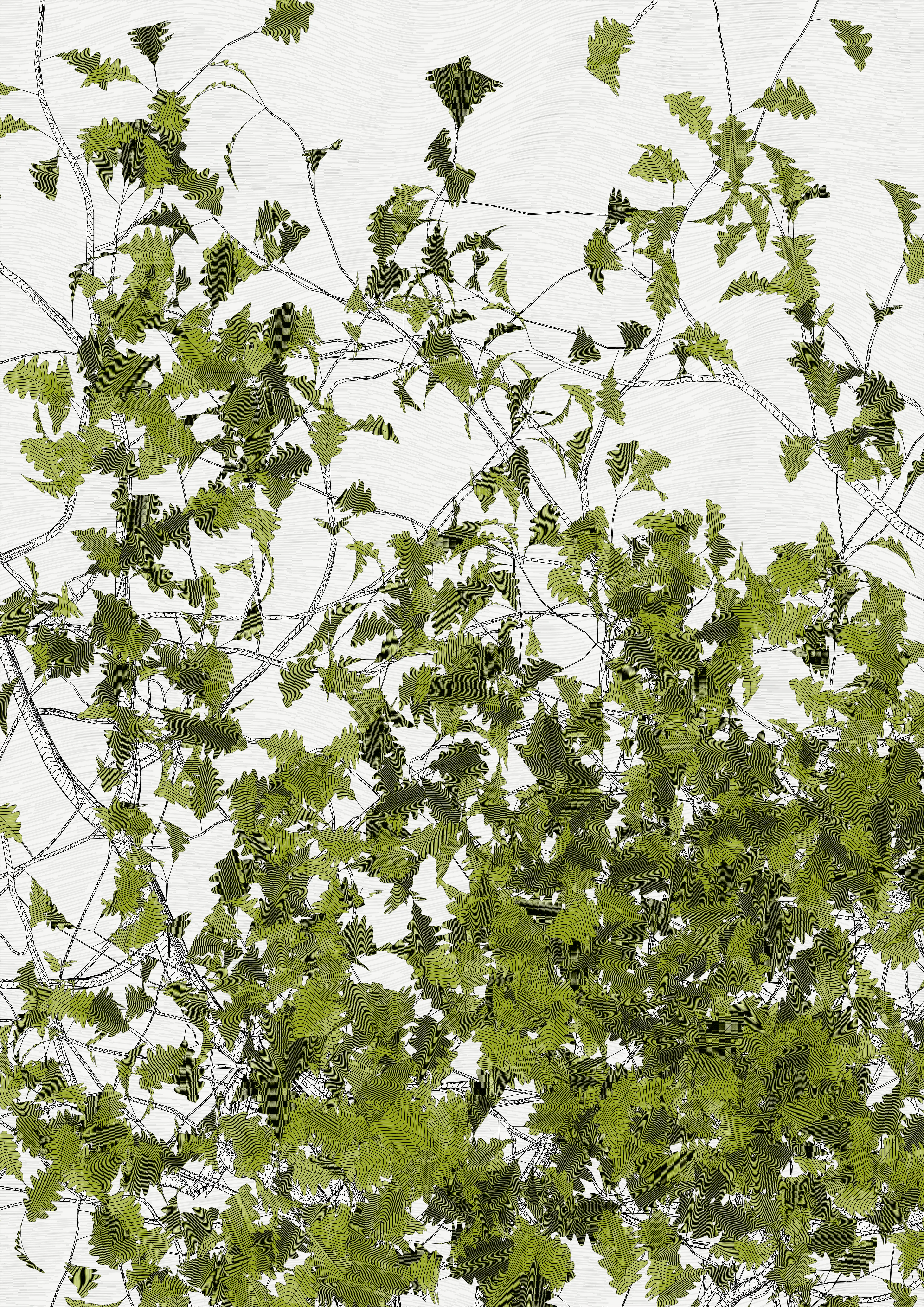 — In the spring of 2021, I carried out a set of research for the rendering of vector trees with programming code, with the aim of making plotter drawings.
My work began to focus on tight and immersive framing in order to refine the rendering of the bark — and to pay tribute to a childhood spent hidden in the foliage of oaks. This resulted in a A4 drawing of dense leaves scattered around the slightly off-center mass of a solid trunk.

To my surprise, I found out that the code was actually calculating the entire tree, showing only a small window.

Then began a patient discovery of the hidden parts, computing and drawing one sample after another.
It was only after hundreds of hours of plotting and after all the drawings had been framed and hung that I was able to watch the Oak in its majestic entirety.

Parts coordinates refer to the position relative to the first drawing revealed, which is at #0,0

—
The Oak Tree part #-1,+2
High resolution PNG 4200 x 5940 
Custom javascript code