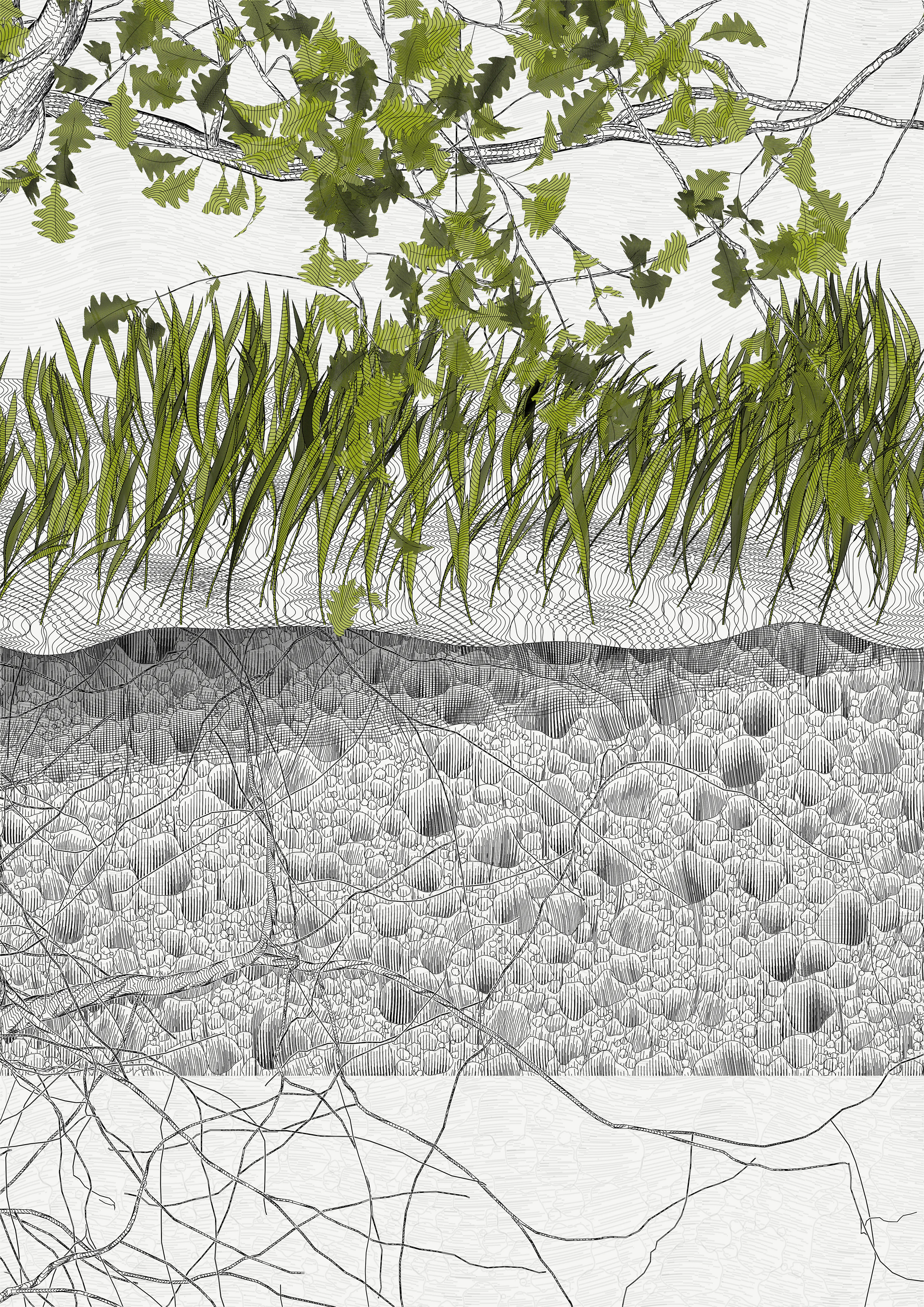 — In the spring of 2021, I carried out a set of research for the rendering of vector trees with programming code, with the aim of making plotter drawings.
My work began to focus on tight and immersive framing in order to refine the rendering of the bark — and to pay tribute to a childhood spent hidden in the foliage of oaks. This resulted in a A4 drawing of dense leaves scattered around the slightly off-center mass of a solid trunk.

To my surprise, I found out that the code was actually calculating the entire tree, showing only a small window.

Then began a patient discovery of the hidden parts, computing and drawing one sample after another.
It was only after hundreds of hours of plotting and after all the drawings had been framed and hung that I was able to watch the Oak in its majestic entirety.

Parts coordinates refer to the position relative to the first drawing revealed, which is at #0,0

—
The Oak Tree part #+1,-1
High resolution PNG 4200 x 5920 
Custom javascript code