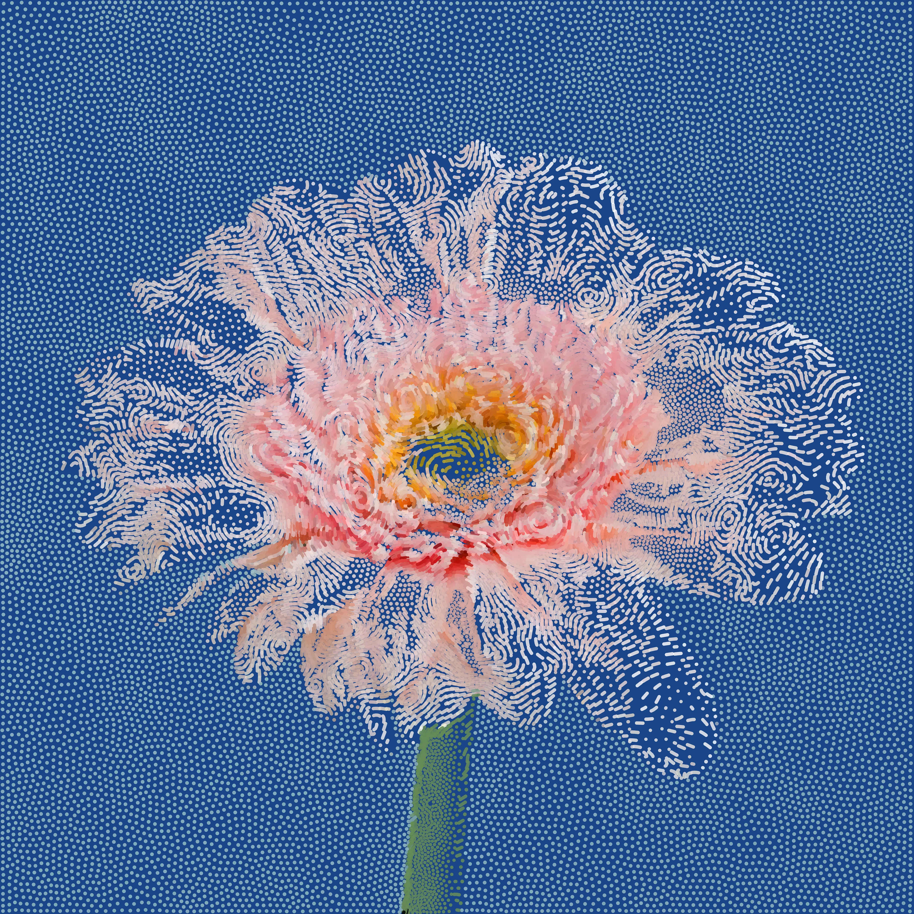 A generative image of a Gerbera Daisy.  I love being able to represent nature in new and unique ways to bring out the incredible beauty that exists all around us.

This image was created with various computer vision algorithms, weighted Voronoi point generators and flow fields. The final image is 9000x9000 pixels.

The auction winner will receive a physical signed print!