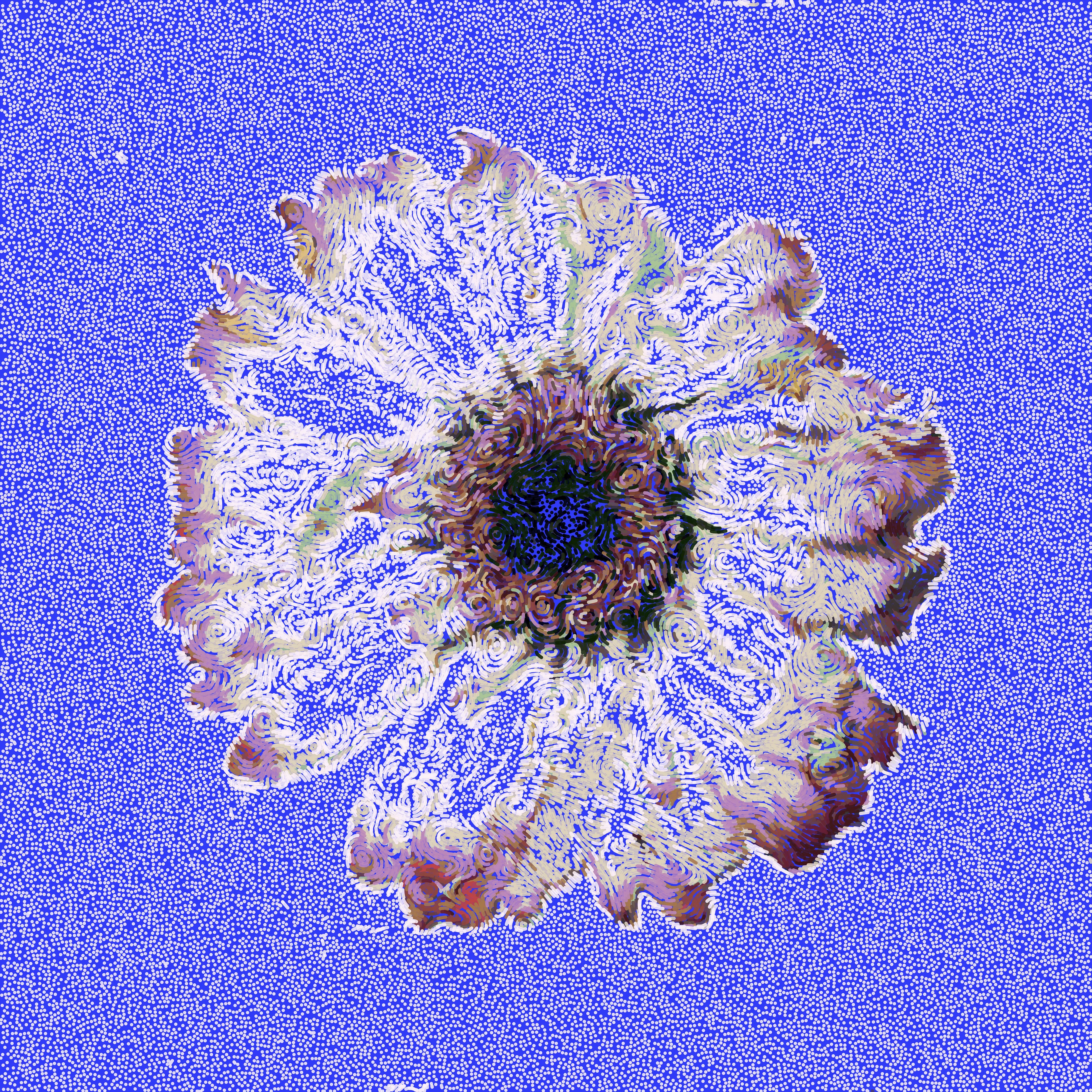A generative Gerbera Daisy flower with 52,551 "brushstrokes" and 15 colors. Flow fields combined with CV algorithms we used to generate this unique and original flower.