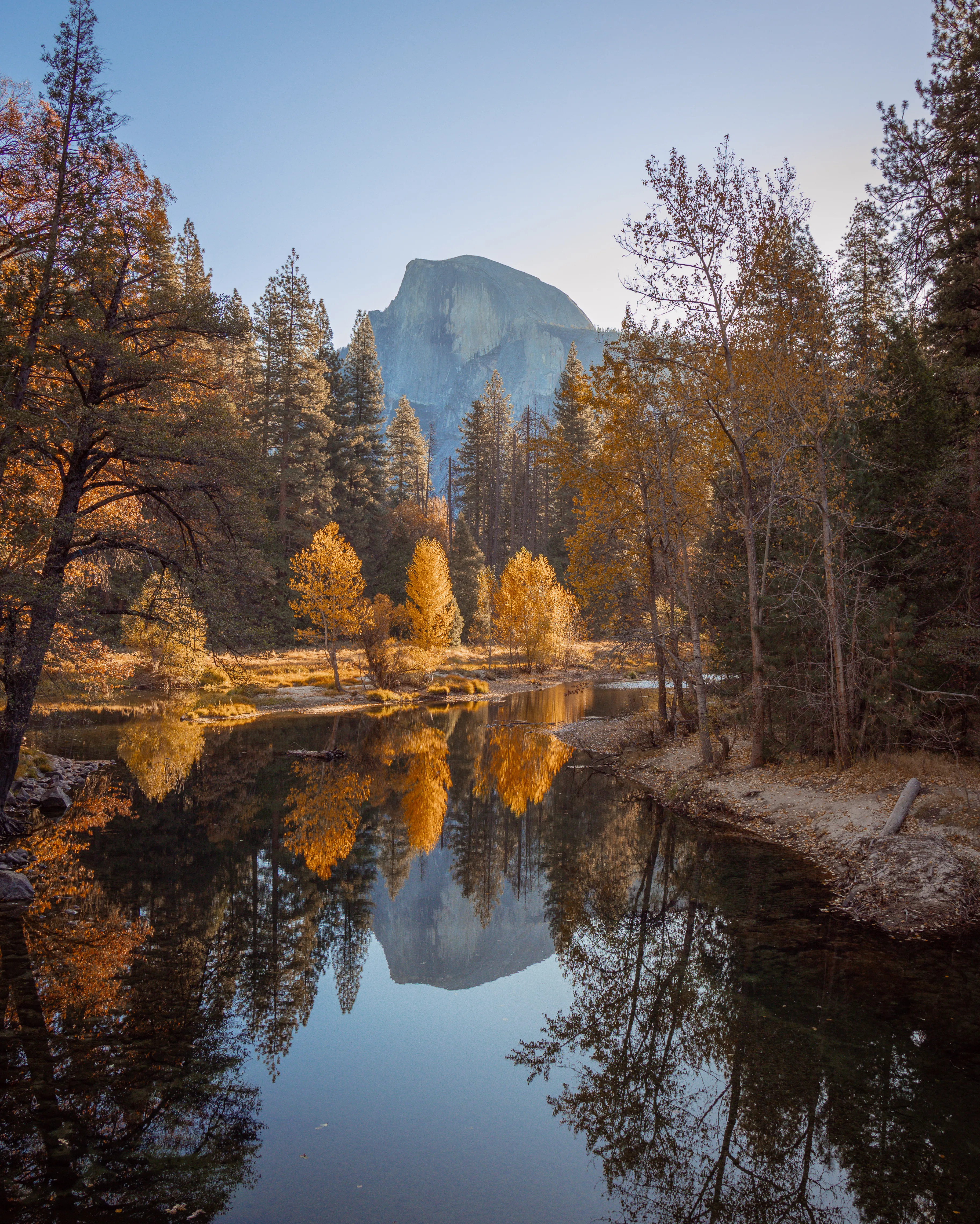This photo was shot from Sentinel Bridge in Yosemite National Park. When the Merced River is calm, this iconic bridge is the perfect spot for shooting Half Dome, mirrored on the calm water. Many sunrises have been spent here, bundled up, barely able to feel my fingers to shoot. 

This shot from November of 2019 is definitely my favorite of them all. The vibrant Fall colors of Yosemite Valley made for absolutely breathtaking views that I'll never forget.

**First collector will receive a physical print of their choosing**