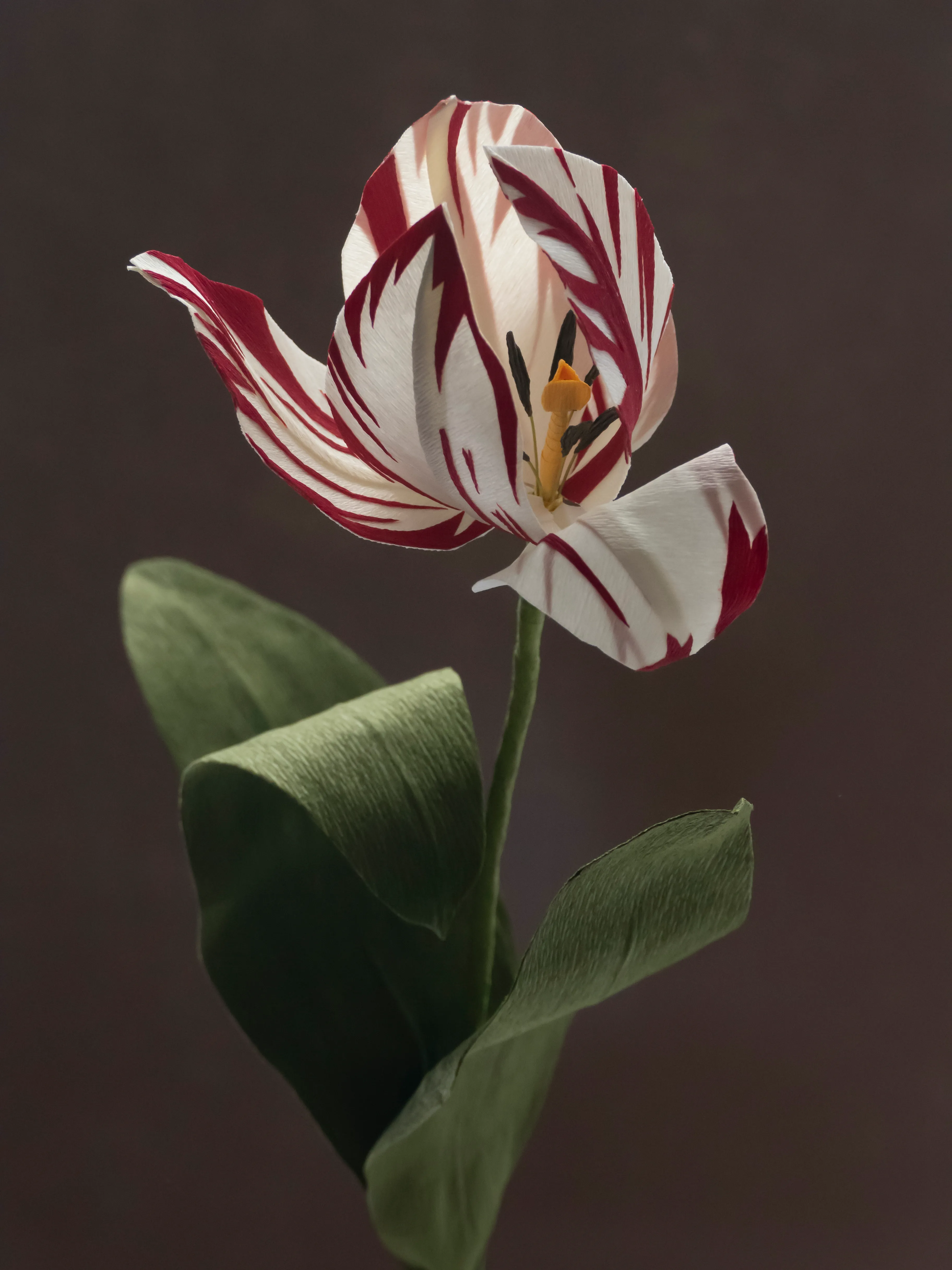 Fleurs d'Artifice is an ongoing series dedicated to Chance, the gardener.