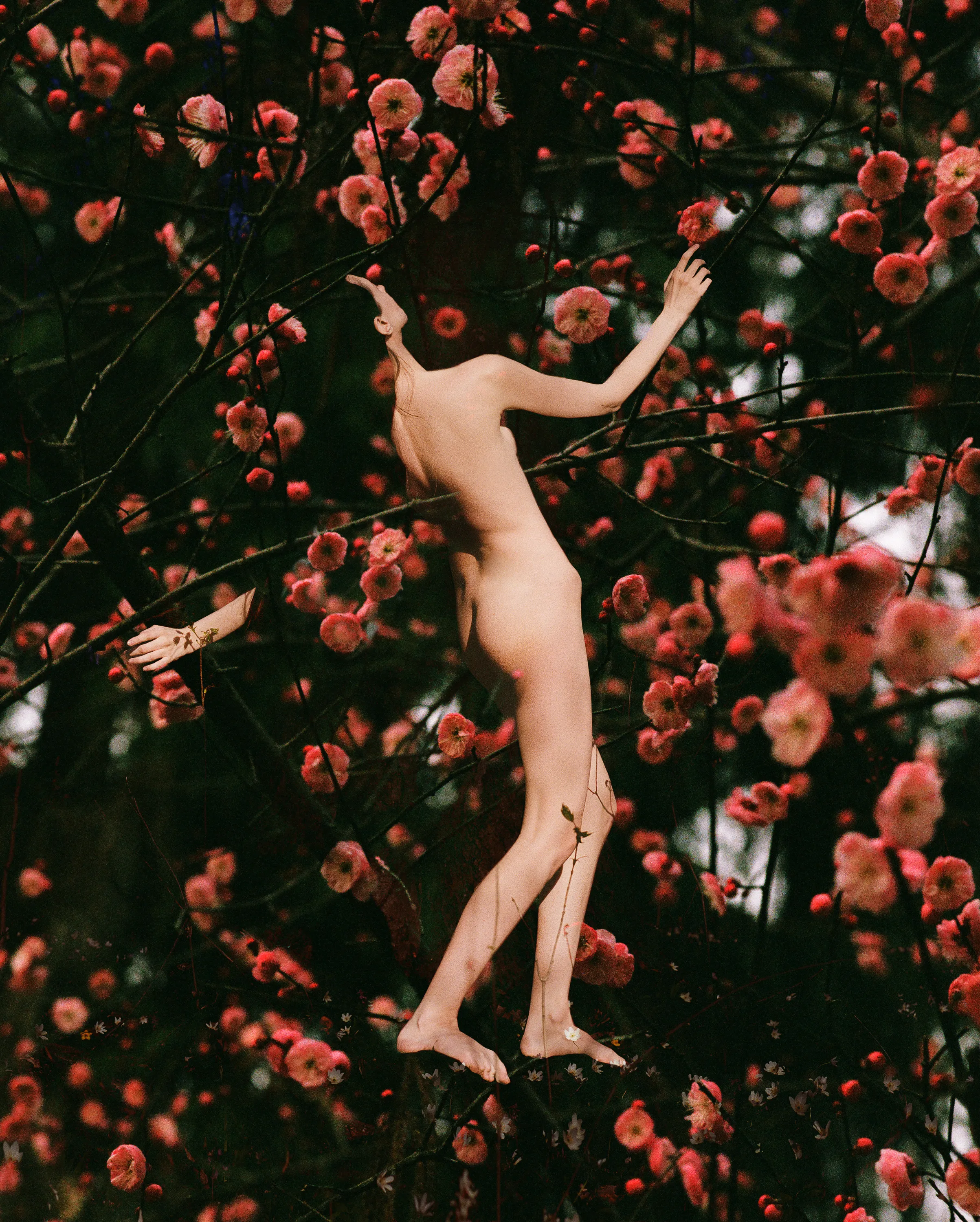 Flower mania is a tribute to nature loving, it is about bringing real flowers to virtual world and spreading the bloom.

Artist:
Synchrodogs

size:
2406x3000px
year: 2021
format:
JPG
